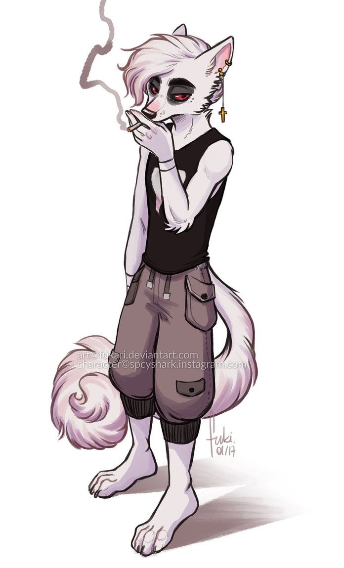 Notifications. Anthro furry, Furry oc, Furry art