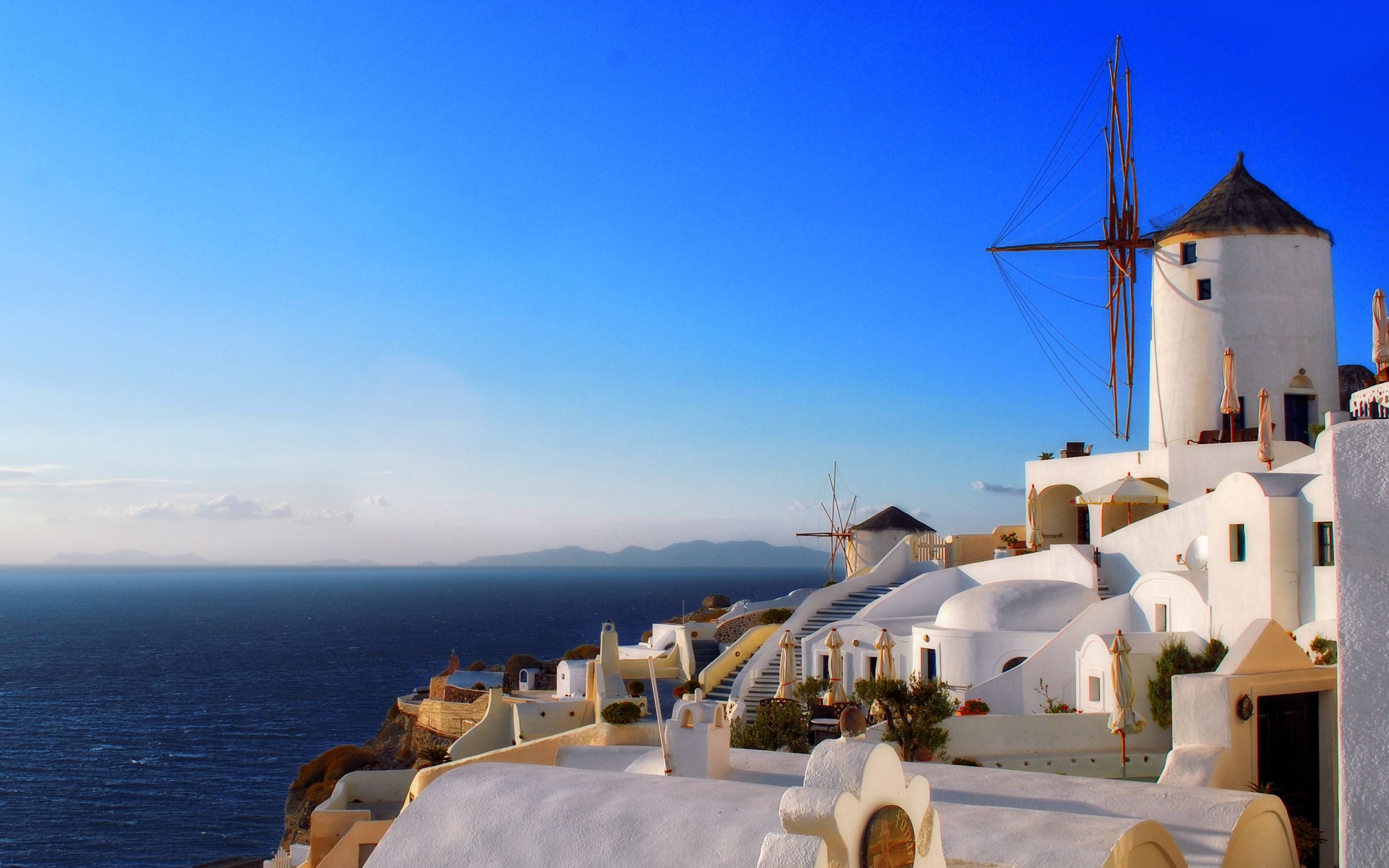 Santorini Flower HD Wallpaper