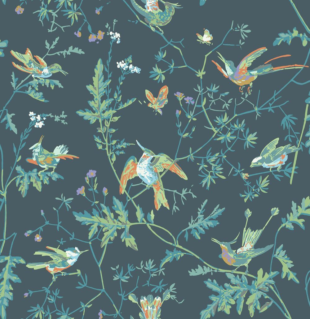 Hummingbirds by Cole & Son, Wallpaper Direct. Cole and son wallpaper, Hummingbird wallpaper, Bird wallpaper