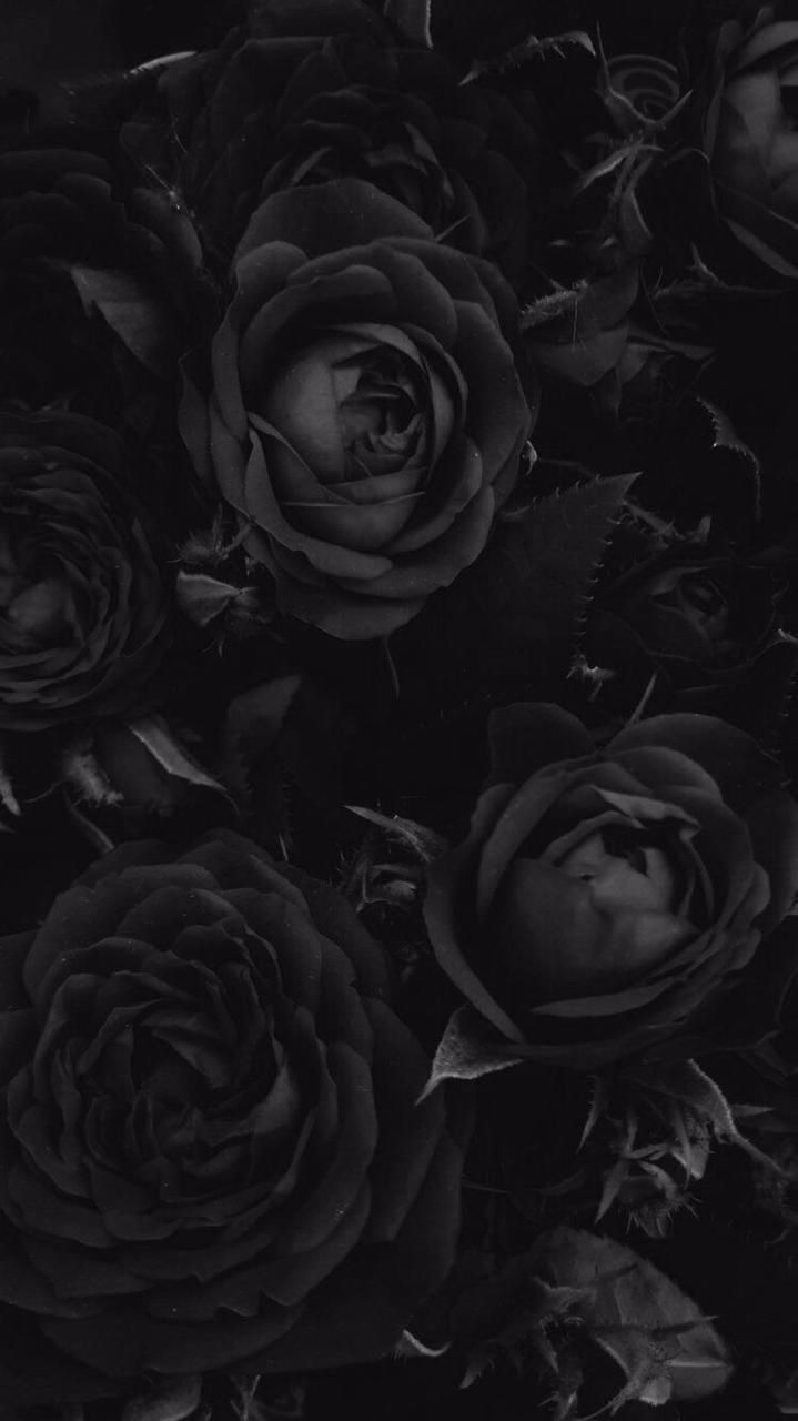 BTS themes. Black roses wallpaper, Cool black wallpaper, Dark wallpaper iphone