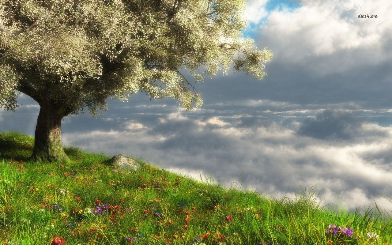 Hilltop tree surrounded by wildflowers HD wallpaper. Tree art, Wild flowers, Free HD wallpaper