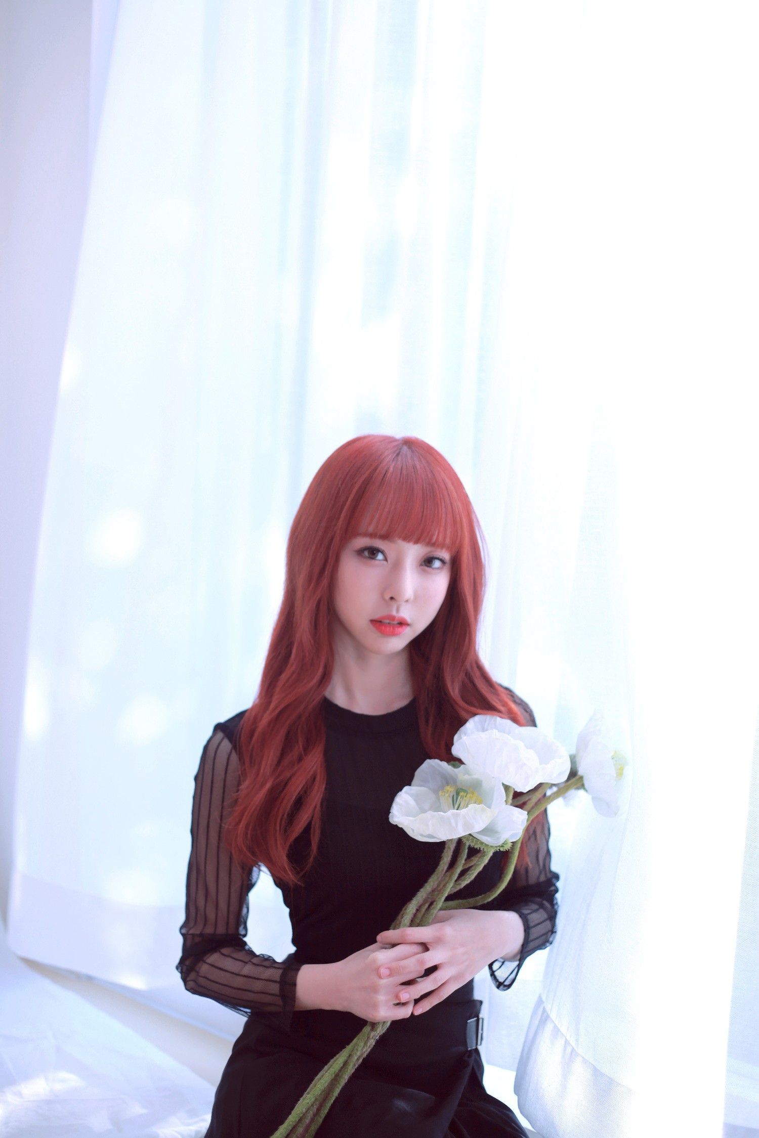 Vivi Loona All Paper