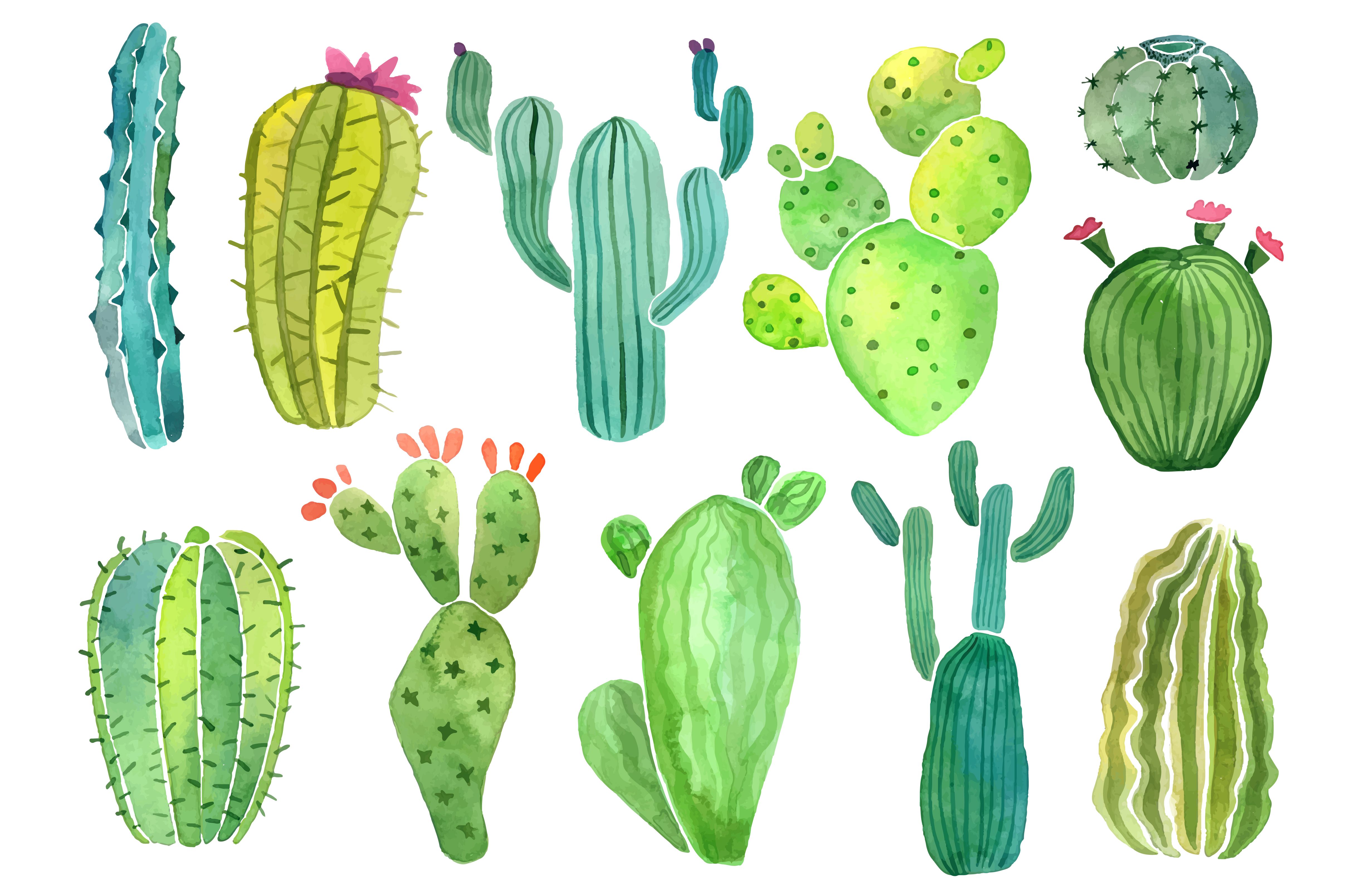 Watercolor cactus and succulent set. Cactus background, Watercolor cactus, iPhone wallpaper
