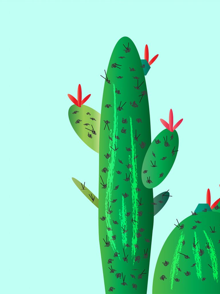 Free download Cactus HD Wallpaper [1920x1080] for your Desktop, Mobile & Tablet. Explore Cactus Wallpaper. Cactus Wallpaper Background, Watercolor Cactus Wallpaper, Cactus Flower Wallpaper