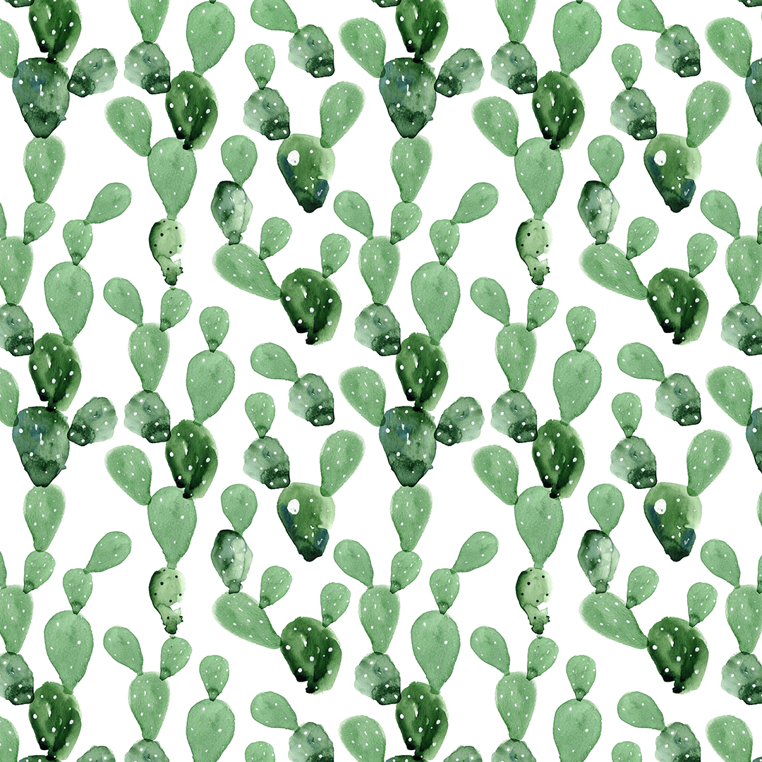 Aesthetic Cactus Wallpaper