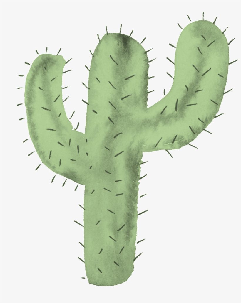 Aesthetic Cute Cartoon Cactus Wallpaper
