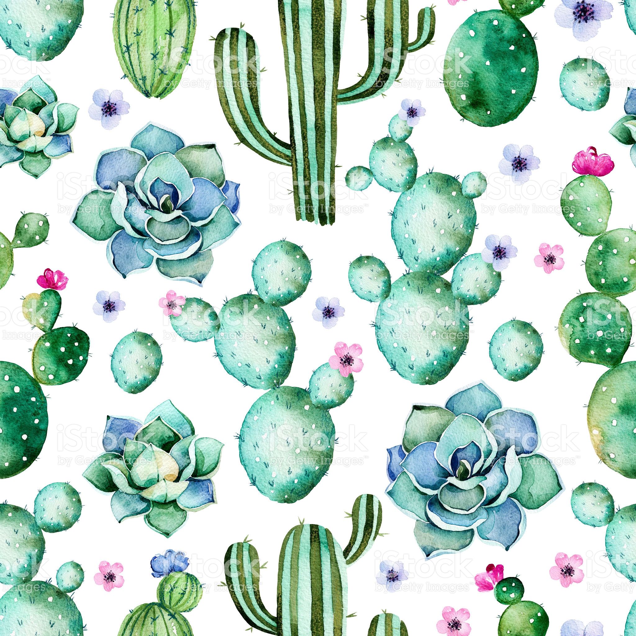 Seamless Pattern With Watercolor Cactus Plants, Succulents Royalty Free Seamless Pattern With Watercolor Cac. Succulents Wallpaper, Watercolor Cactus, Cactus Print