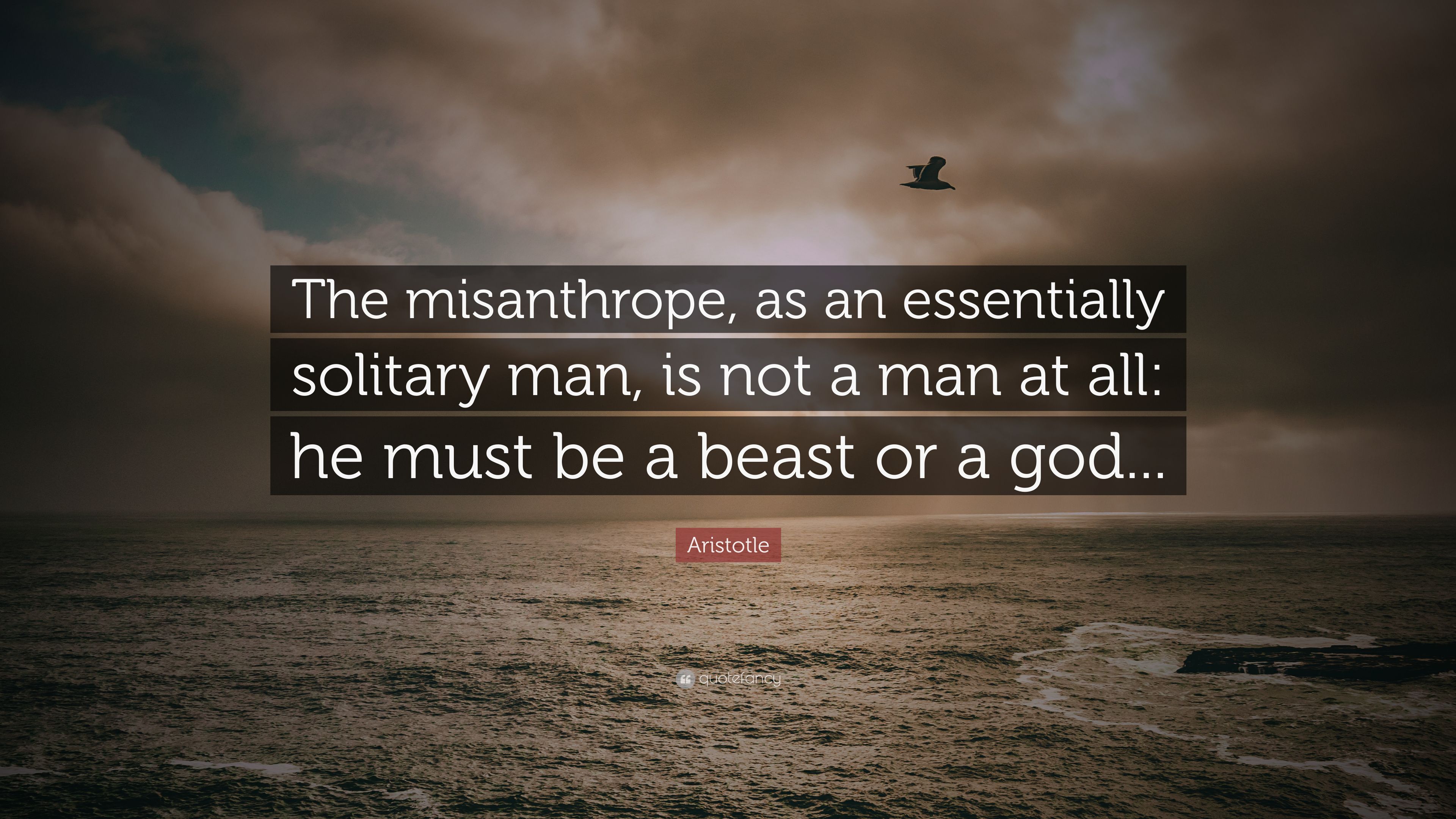 Aristotle Quote: “The misanthrope, as an essentially solitary man, is not a man at all: he
