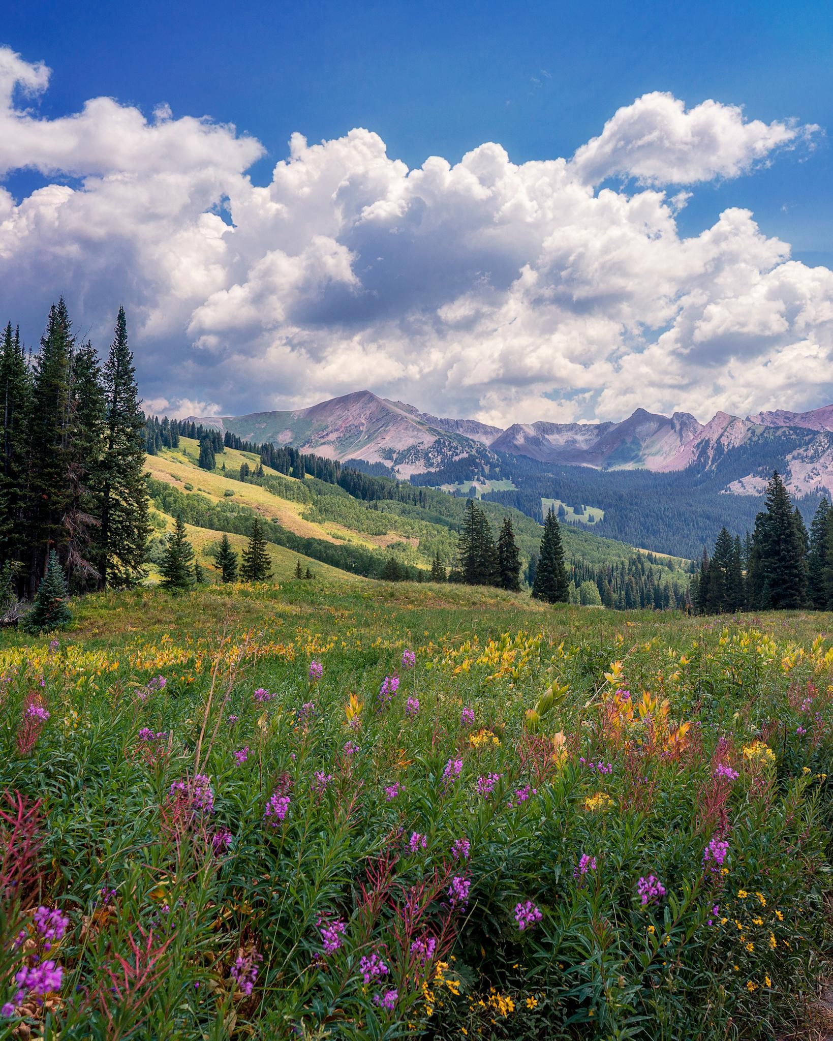 Summer day outside of Crested Butte Colorado [OC] [1639x2048]. Spring landscape photography, Scenery picture, Panorama photography