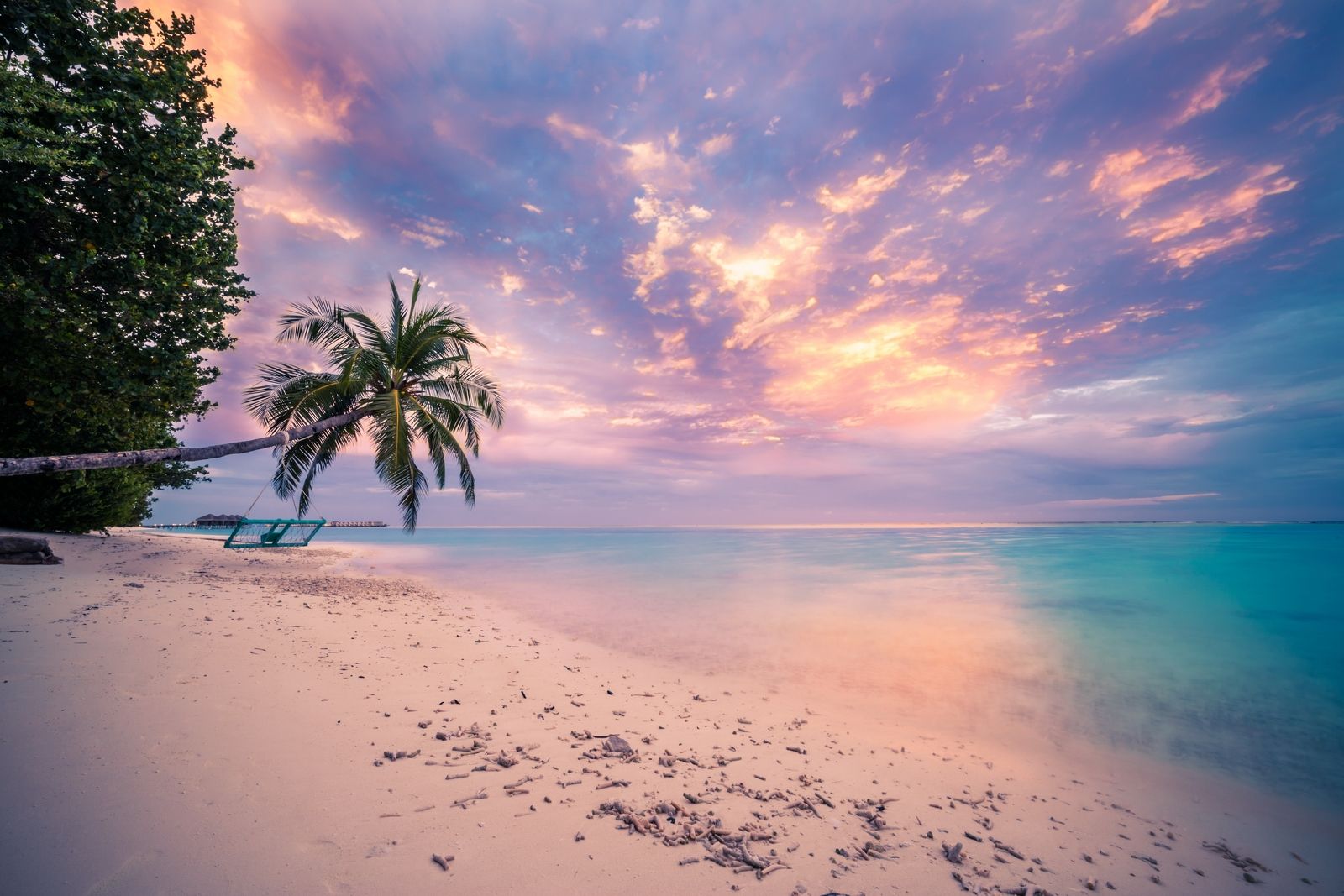 Beach Tropical Ocean Sea Palm Tree Sunset Horizon Wallpaper:1600x1067