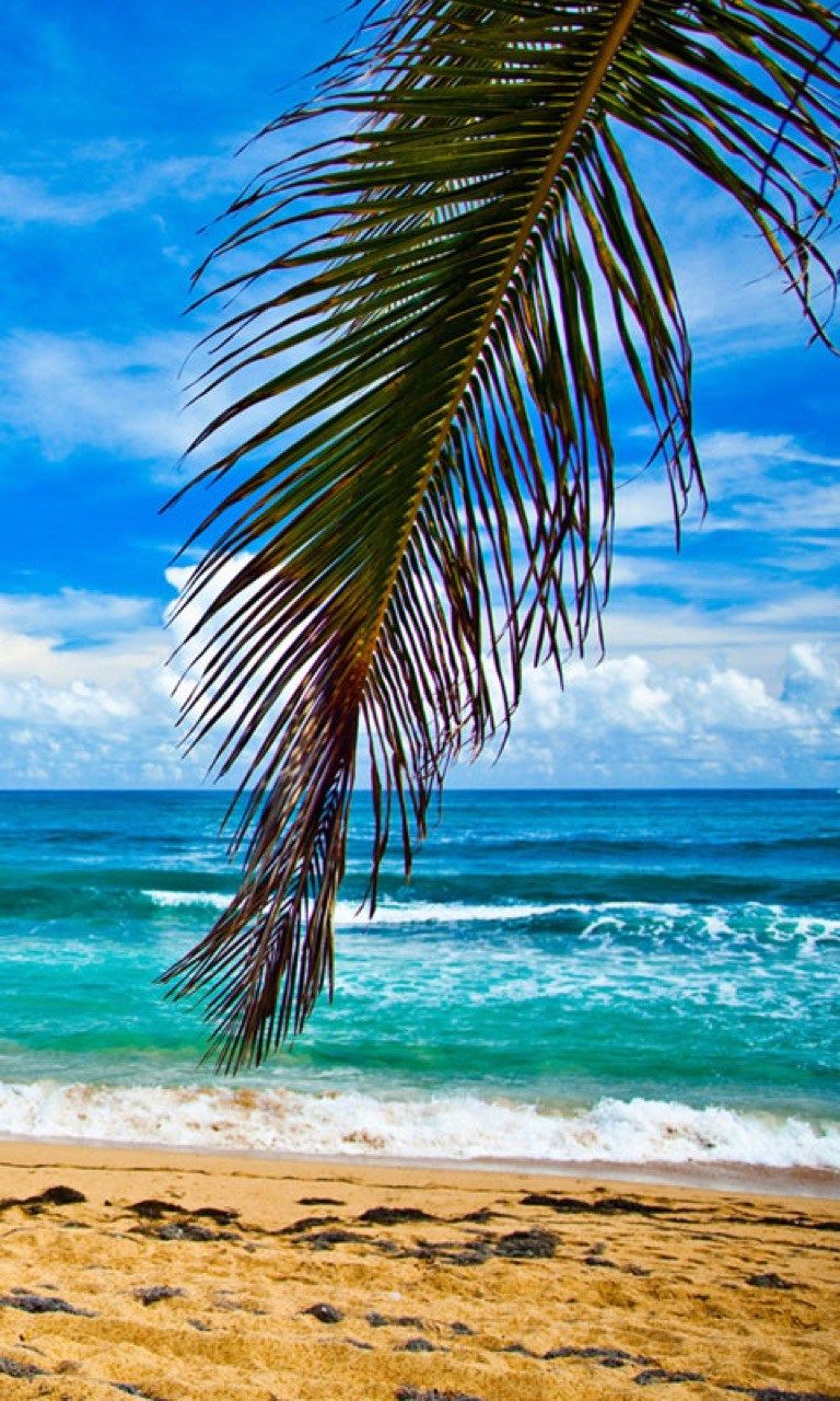 Summer Beaches Wallpaper