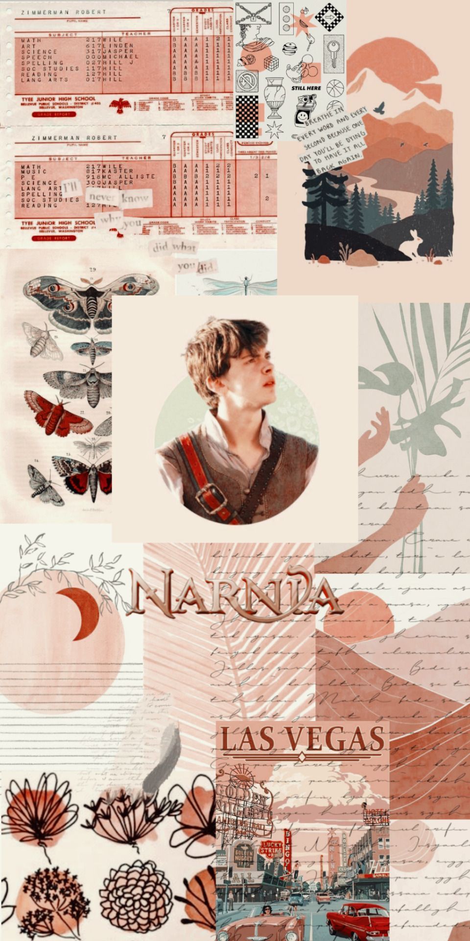 narnia wallpaper edmund