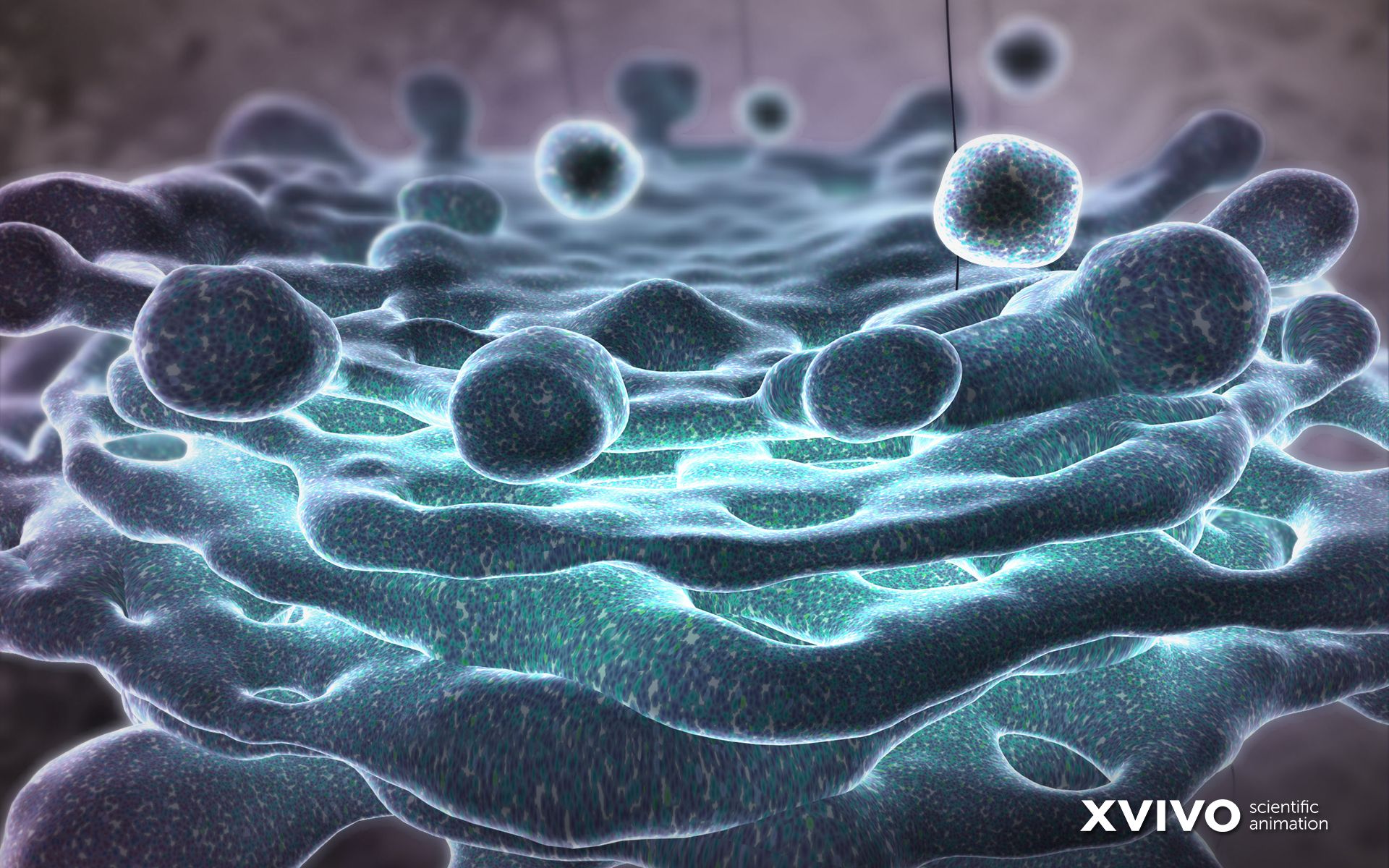 Digital Art Macro Closeup Bacteria Viruses Biology Science XViVO CGi Wallpaper:1920x1200