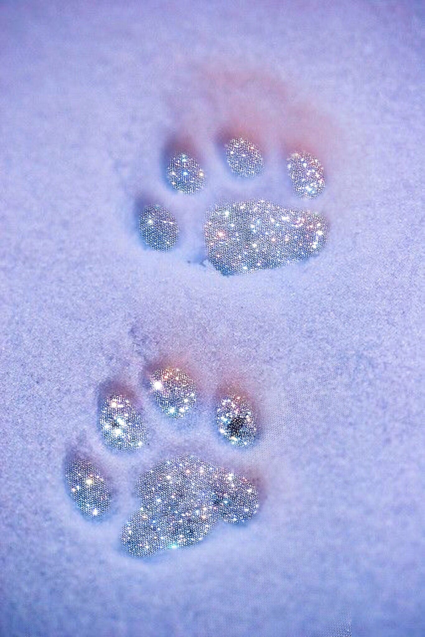 glitter #cats #catlover #catart #art #cute #animales #sparkle #diamond #wohnung #w. Glitter photography, Pastel pink aesthetic, iPhone wallpaper tumblr aesthetic
