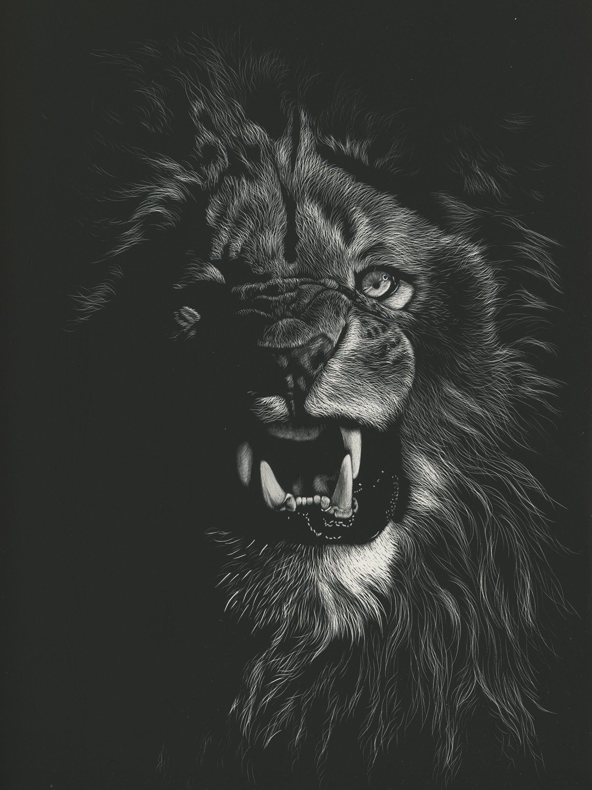 Lion Eyes in Dark Backround