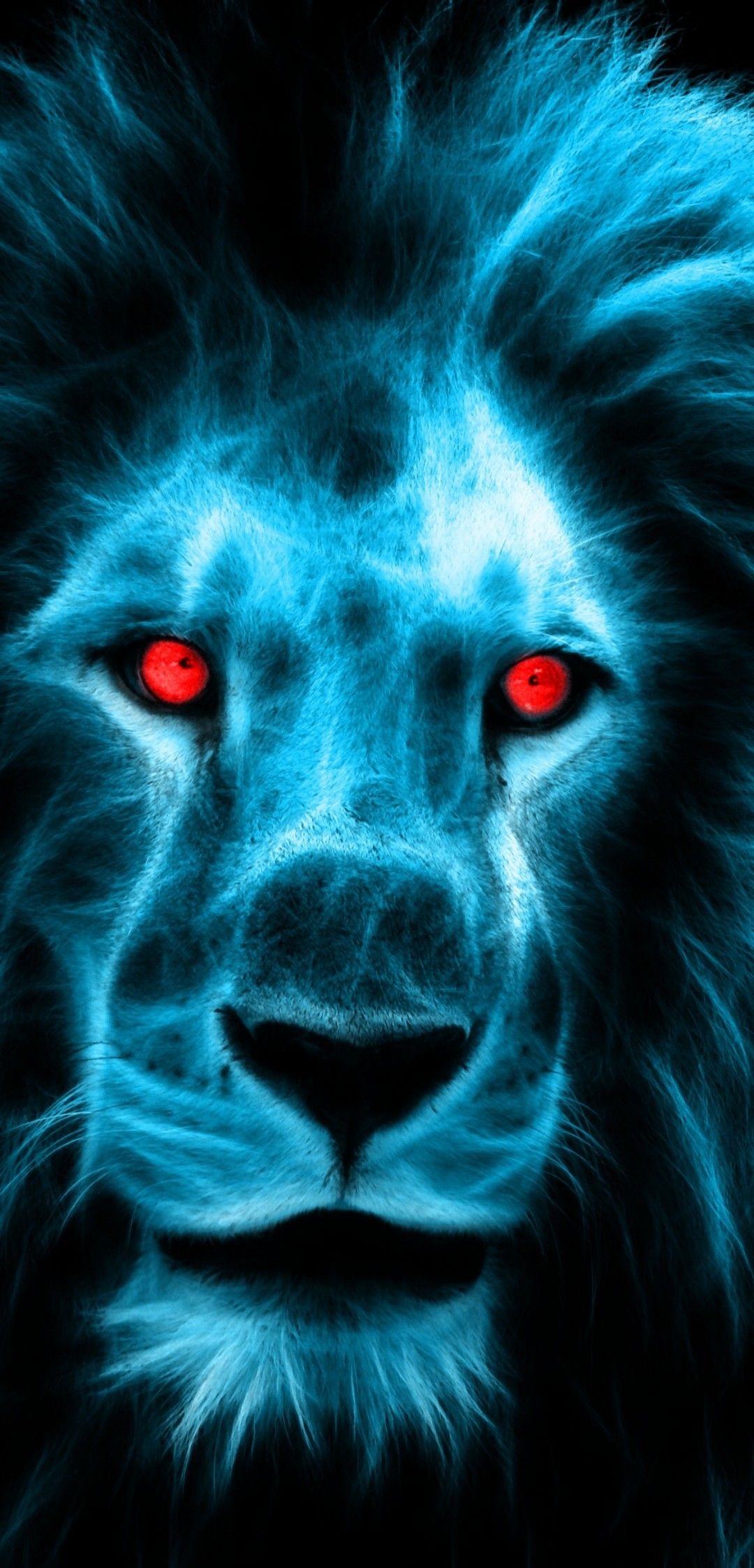 2560x1024 Lion Blue Eyes 2560x1024 Resolution HD 4k Wallpapers, Images,  Backgrounds, Photos and Pictures