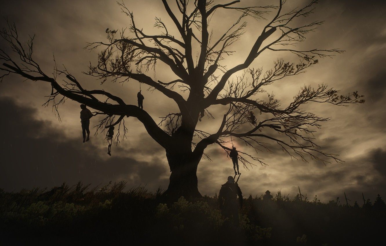 Wallpaper night, tree, The Witcher, gallows, The Witcher 3:Wild Hunt image for desktop, section игры