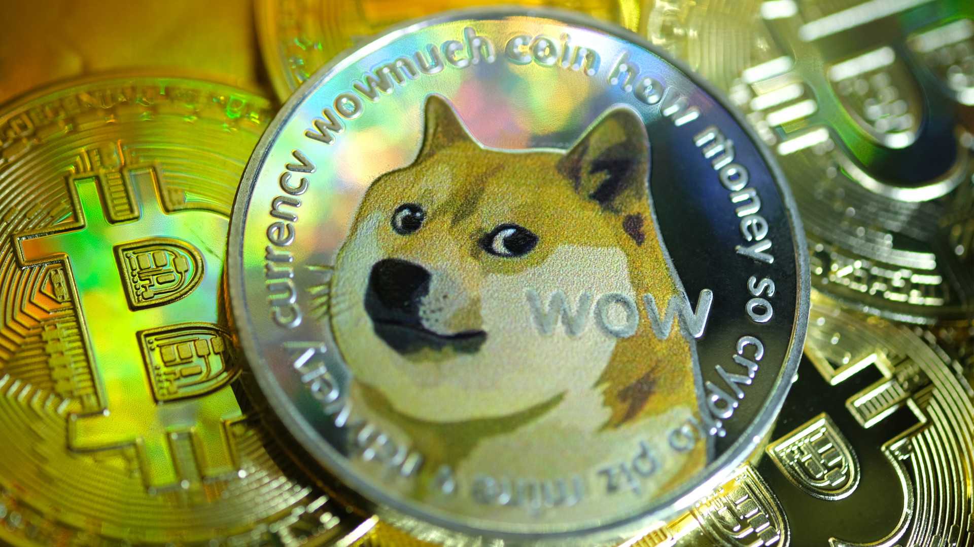 dogecoin does what
