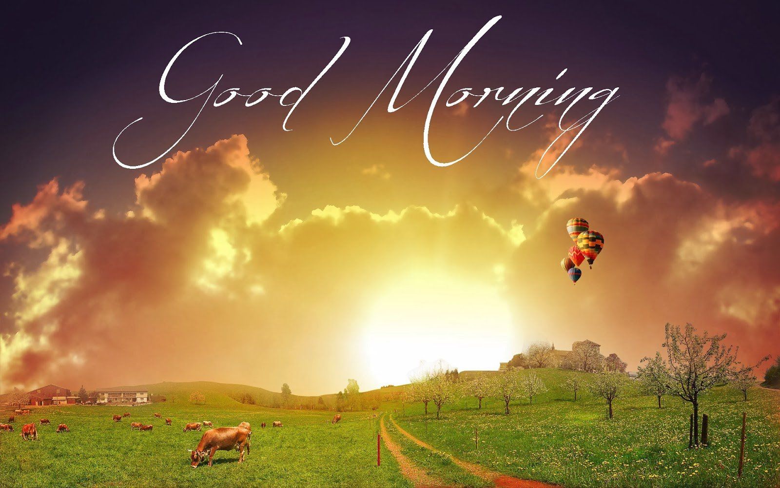 Free download Gud Morning Wallpaper for Free Super 4K Ultra HD Image download [1600x1000] for your Desktop, Mobile & Tablet. Explore Morning Wallpaper. Good Morning Wallpaper, New Good Morning