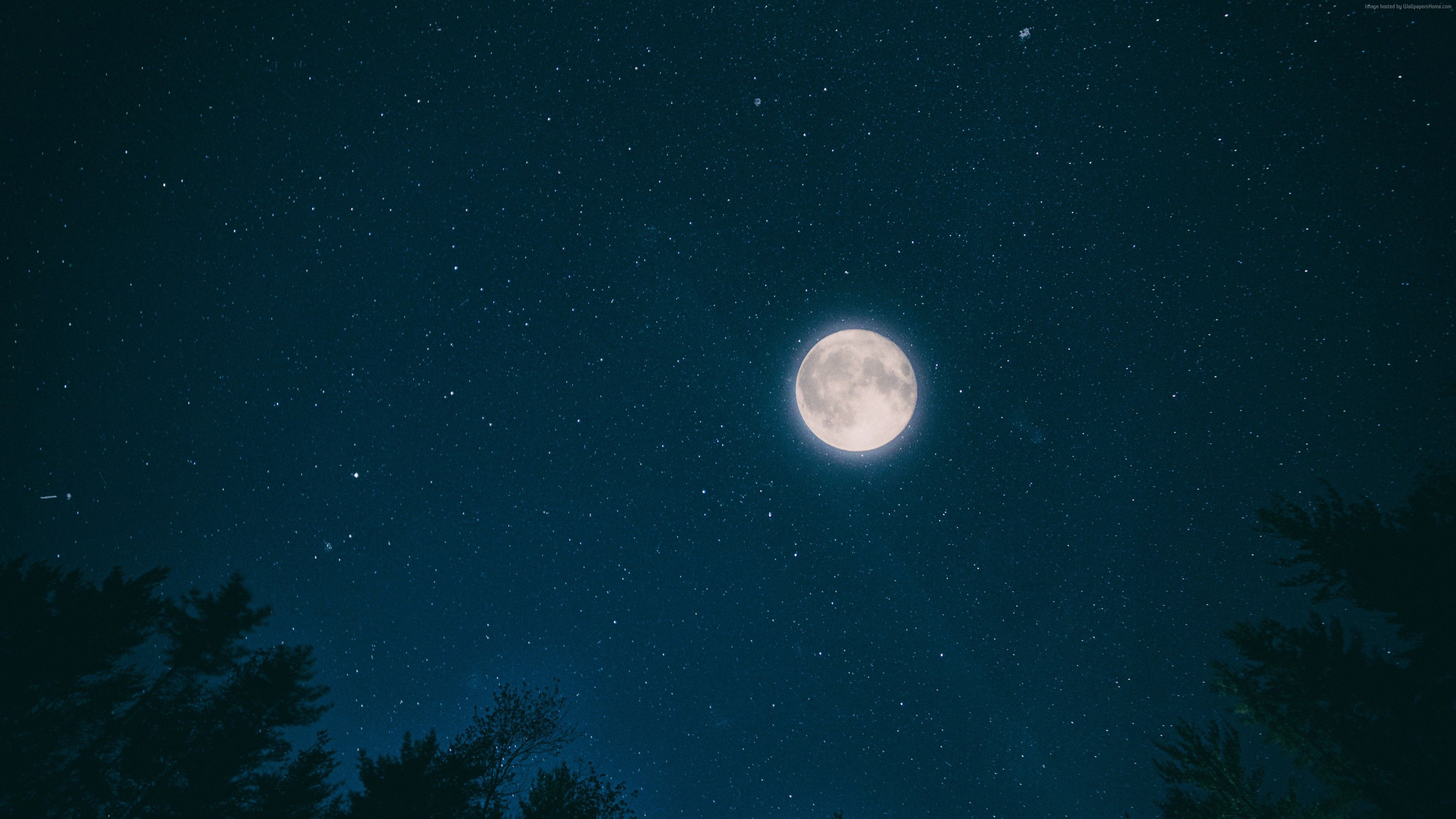 Stock Image night, sky, moon, stars, forest, 4k, Stock Image Wallpaper Download Resolution 4K Wallpaper