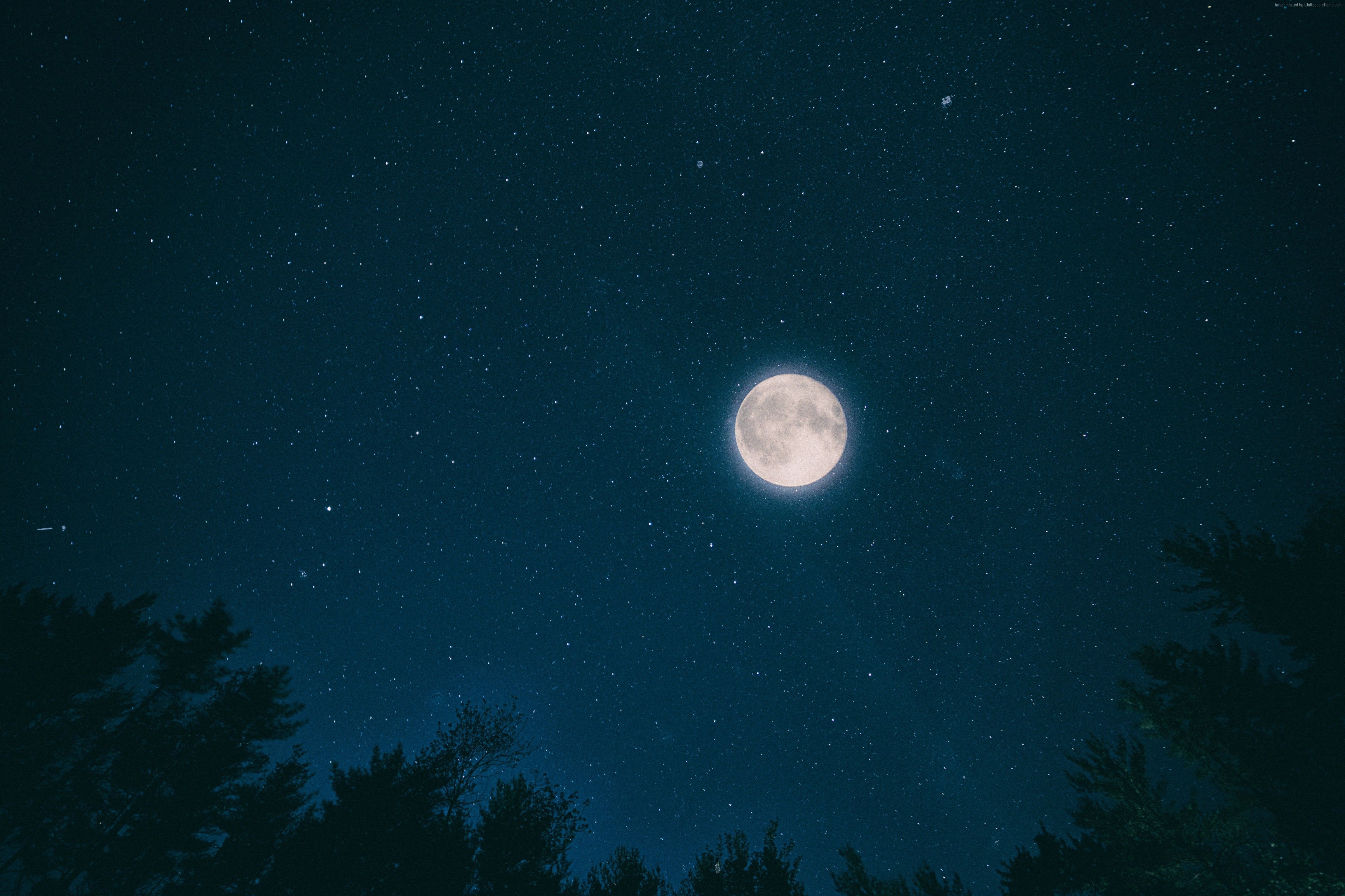 #stars, #moon, #forest, K, #night, #sky. Mocah HD Wallpaper