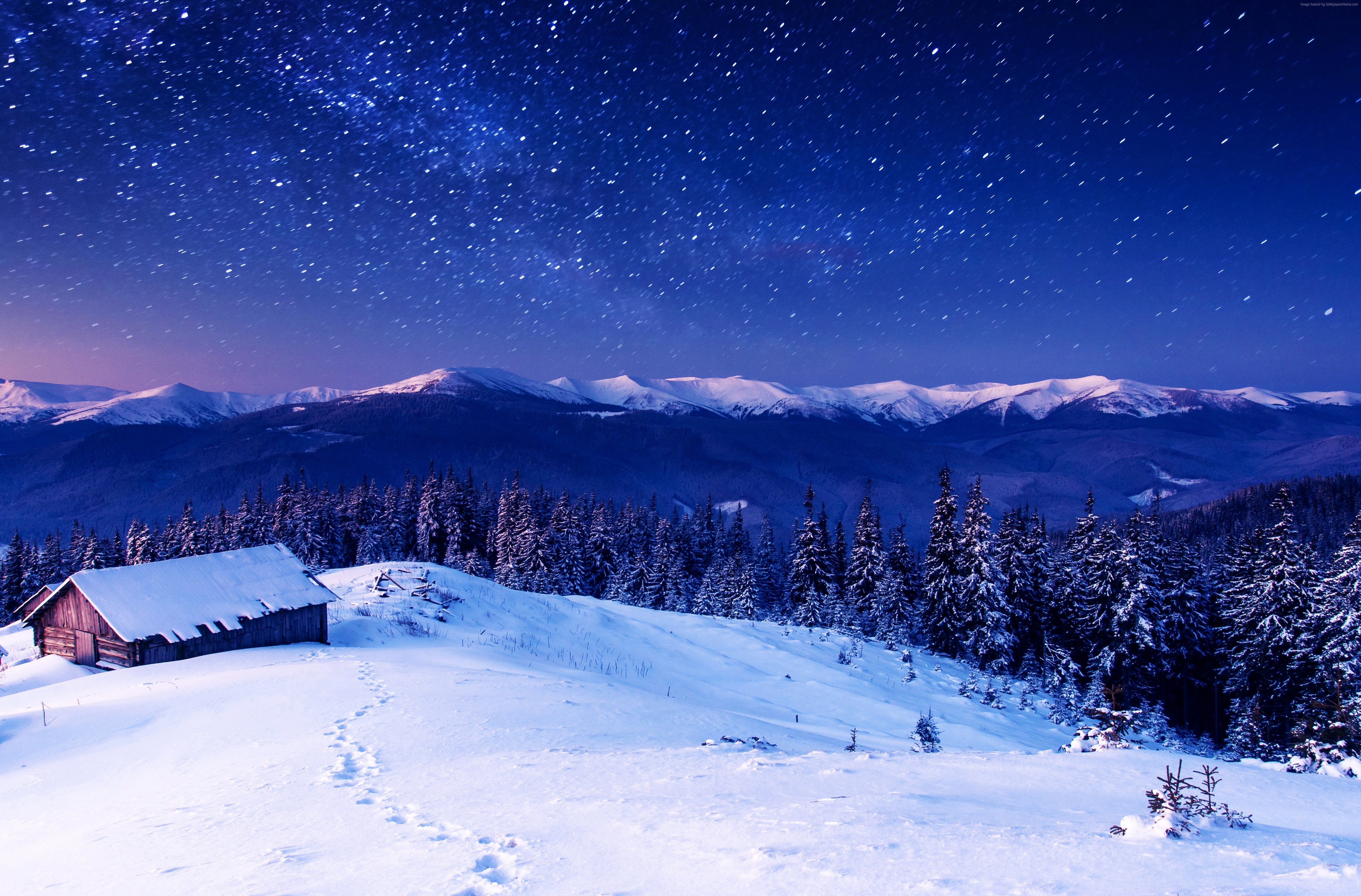1000 Free Night Snow  Snow Images  Pixabay