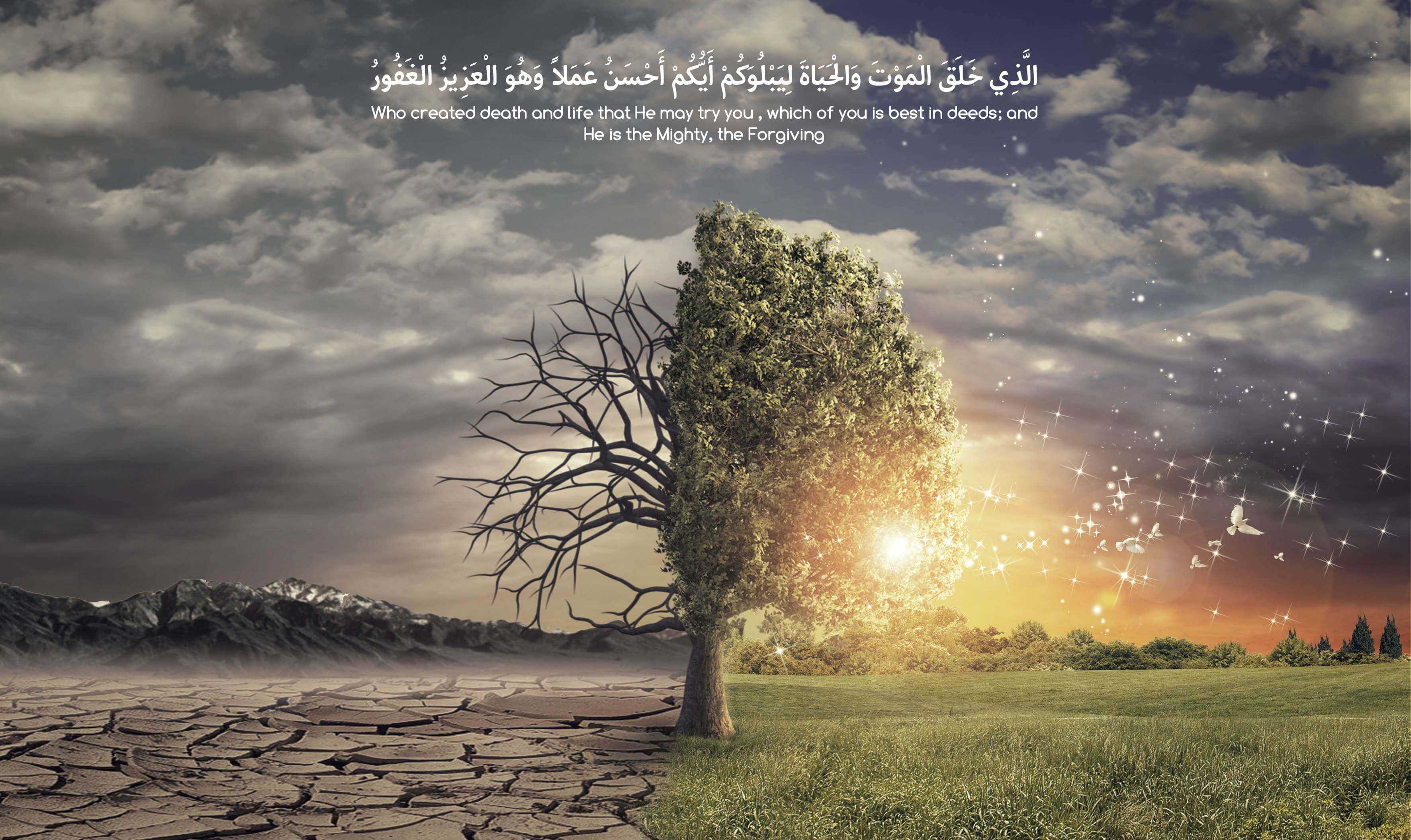 Islamic 4k Wallpapers Wallpaper Cave
