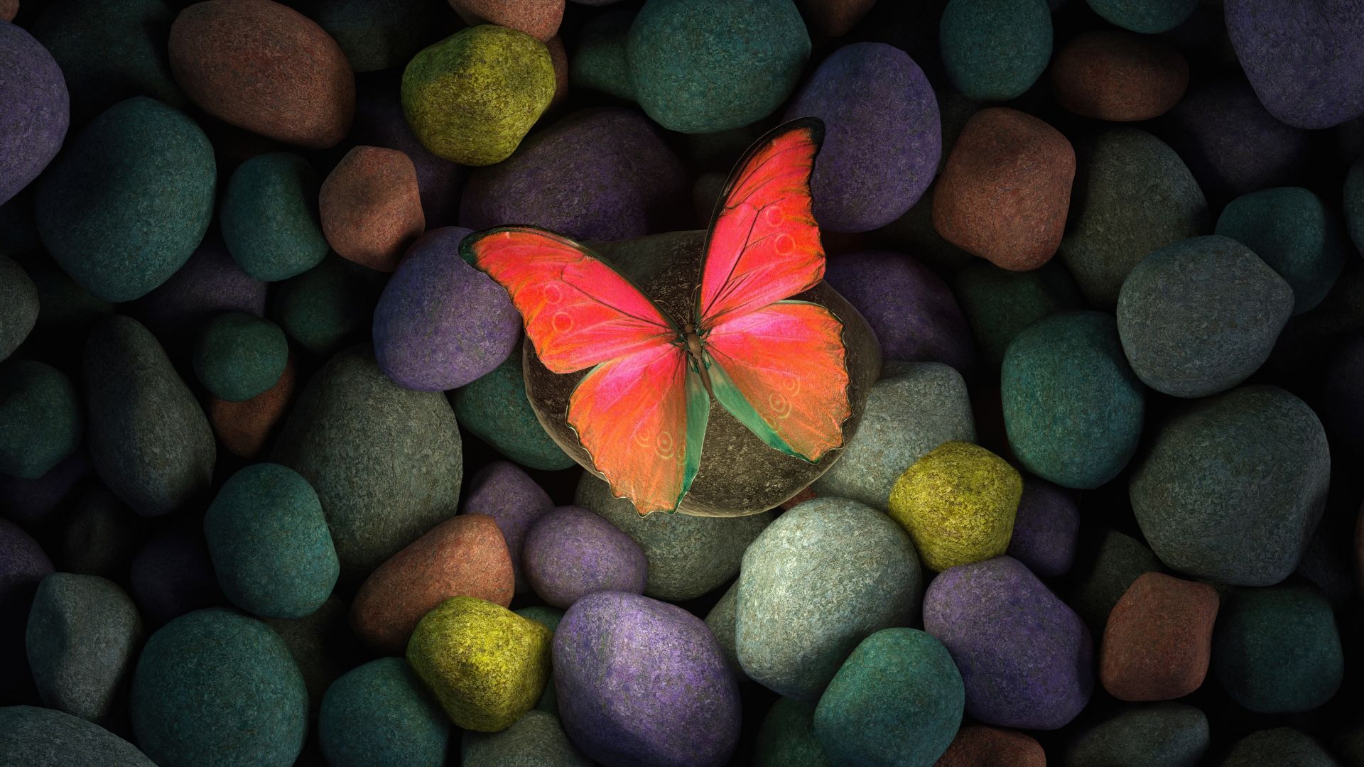 Desktop wallpaper butterfly on rocks, colorful rocks, art, HD image, picture, background, 289653