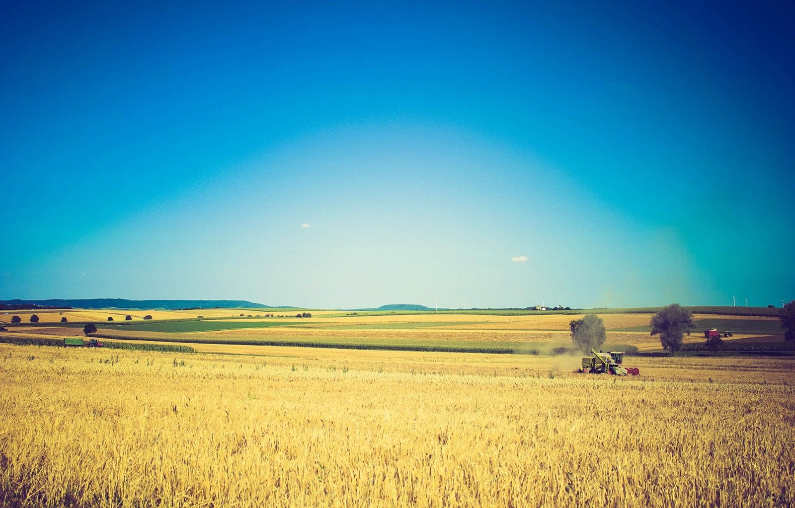 Sky, Field, Summer, Agriculture, HD City Wallpaper, Amazing City View, Amazing Photo Shot, Free City Photo, City Image For Windows, Desktop Image, Large Places, Background, 1600x1023. Full HD Wallpaper