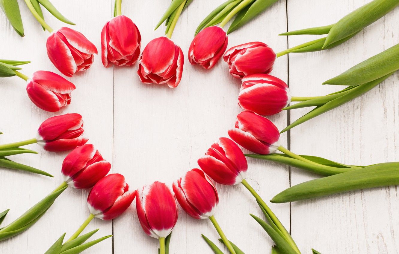 Wallpaper flowers, heart, tulips, red, love, heart, wood, romantic, tulips, spring, red tulips image for desktop, section цветы