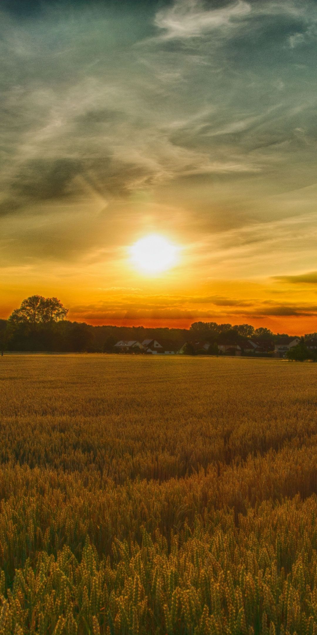 Summer, sunset, farm, landscape, nature, 1080x2160 wallpaper. Sunset landscape photography, Farm scenery, Landscape photography nature