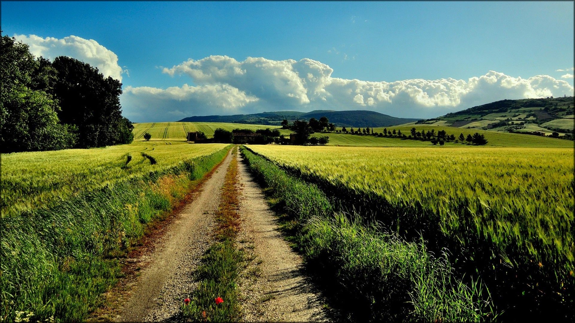 Agriculture Desktop Background. Beautiful Widescreen Desktop Wallpaper, Desktop Wallpaper and Naruto Desktop Background