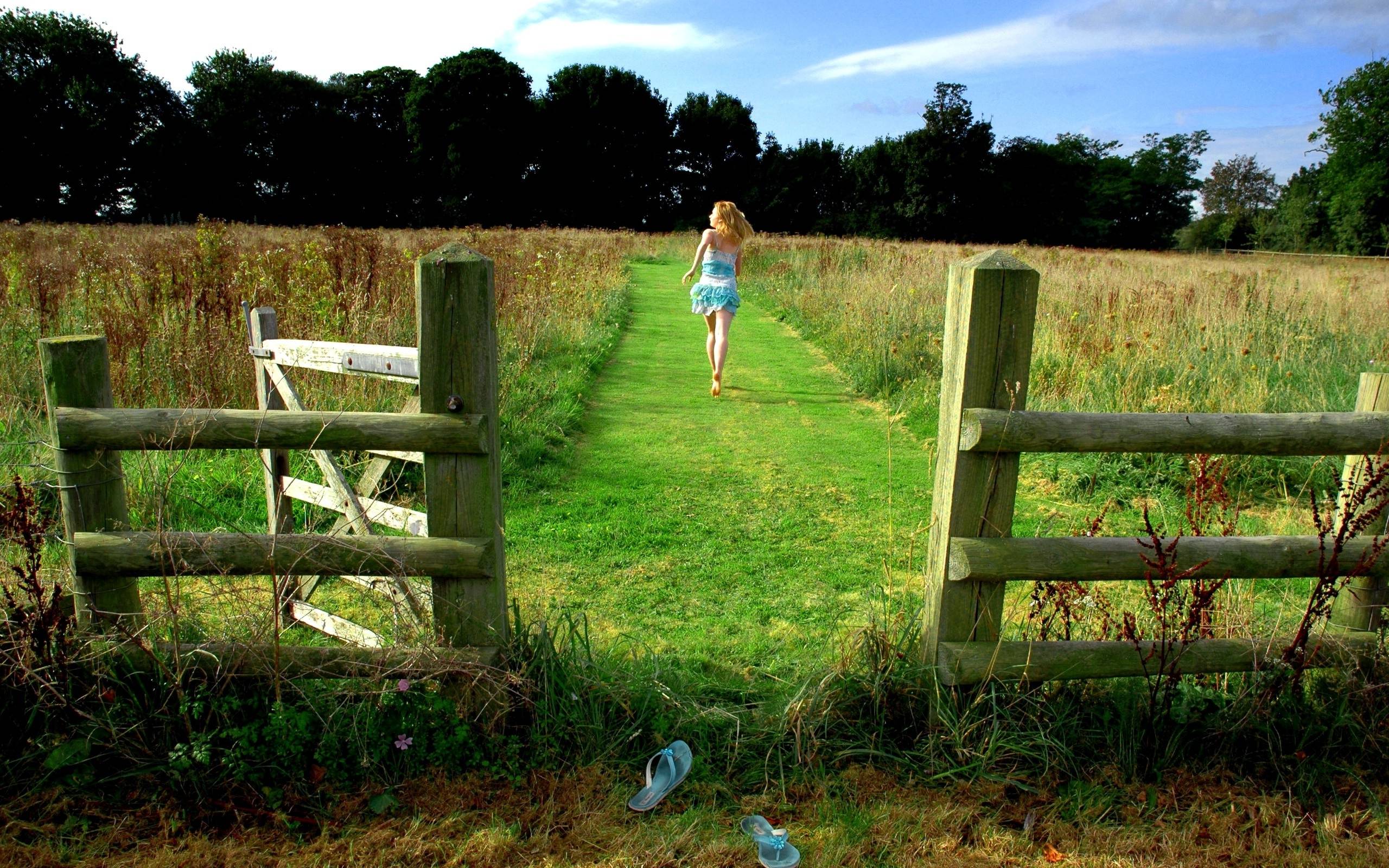 Summer Farm Wallpaper