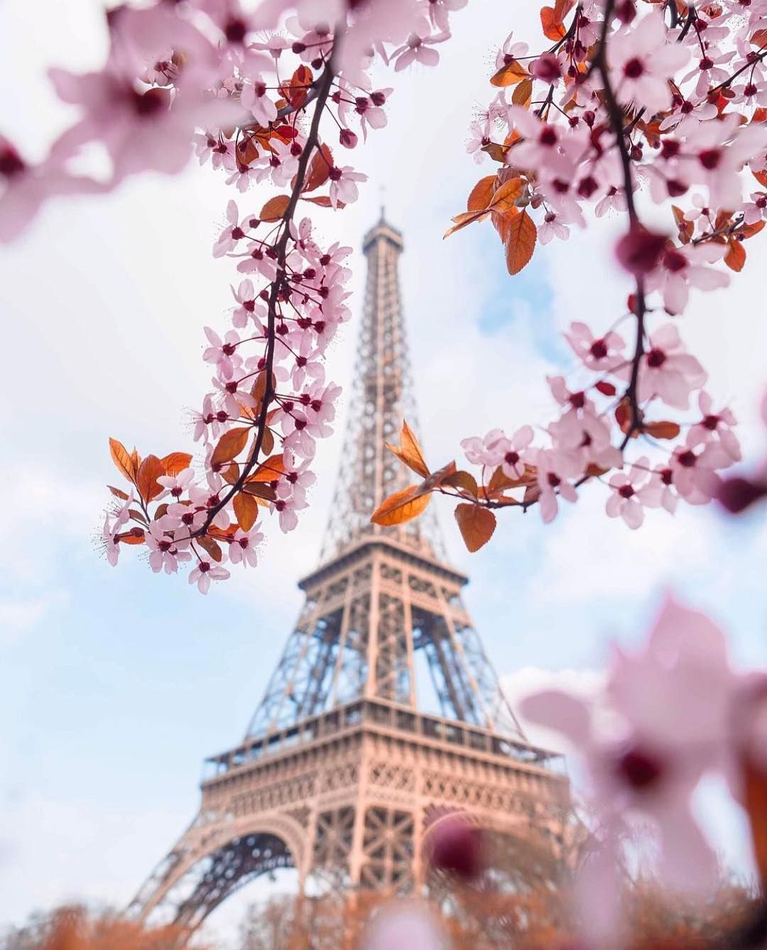 wonderful_places) no Instagram: Spring in Paris Picture. Paris wallpaper, Eiffel tower photography, Paris picture