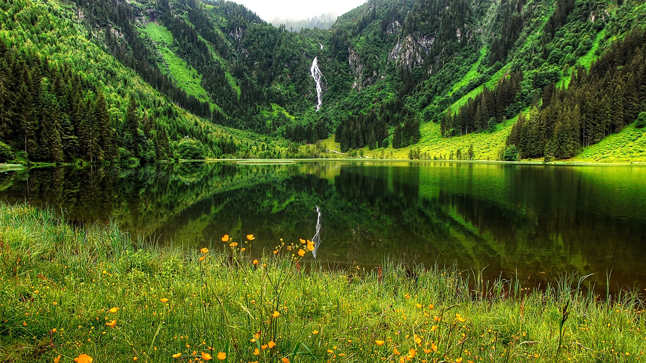 Photo Germany Bergsee Summer Nature Mountains Lake Grass 2560x1440
