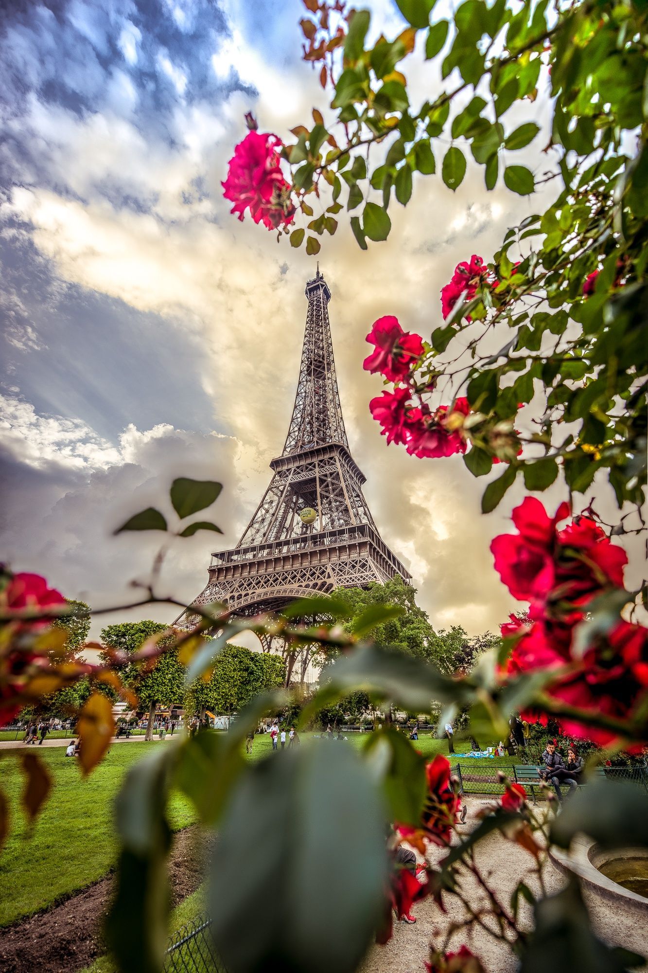 Eiffel Tower by Daniel Hofman / 500px. Eiffel tower, Eiffel tower picture, Eiffel