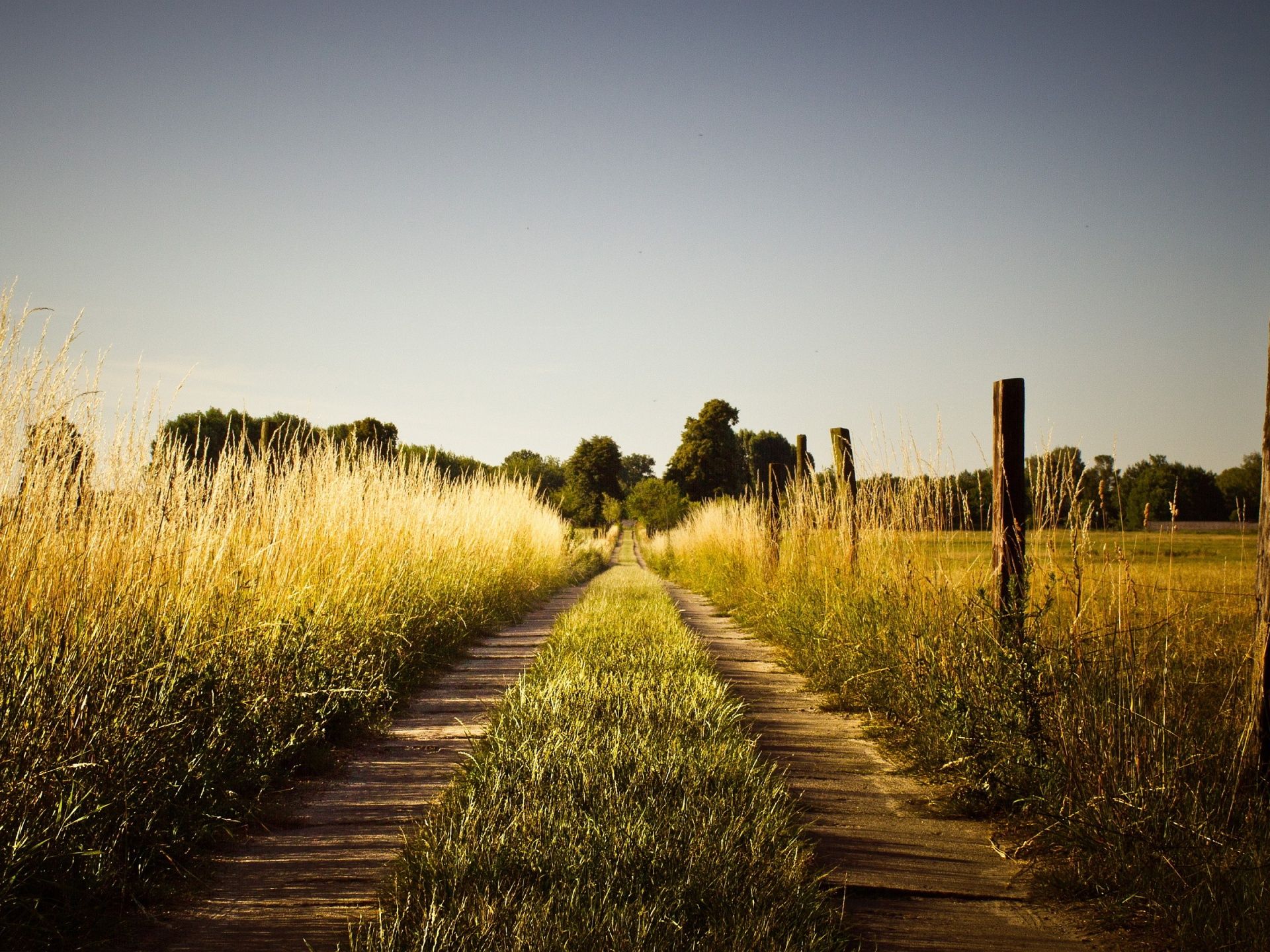 Summer country road wallpaperx1440