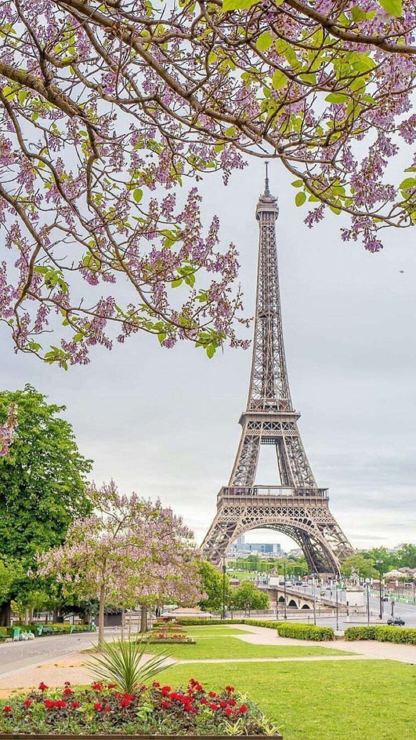 ПРИРОДА КАРТИНЫ. Eiffel tower photography, Paris wallpaper, Paris tour eiffel