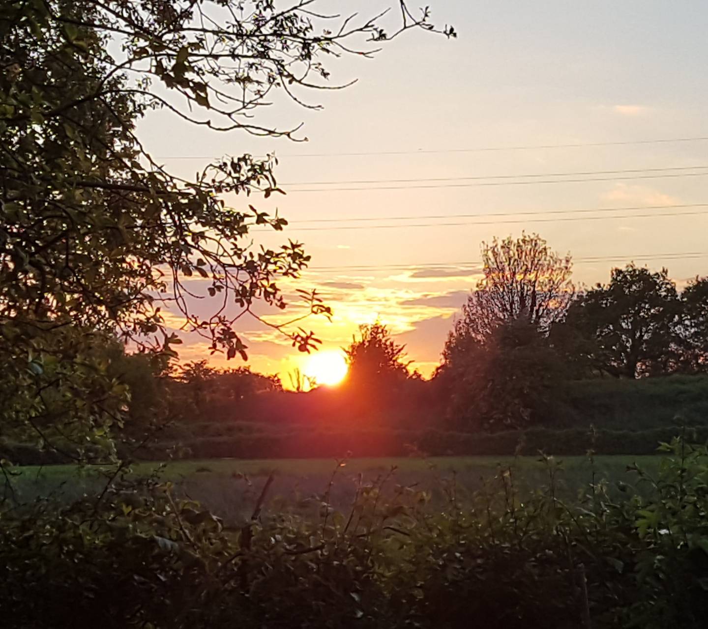 Spring Sunset wallpaper