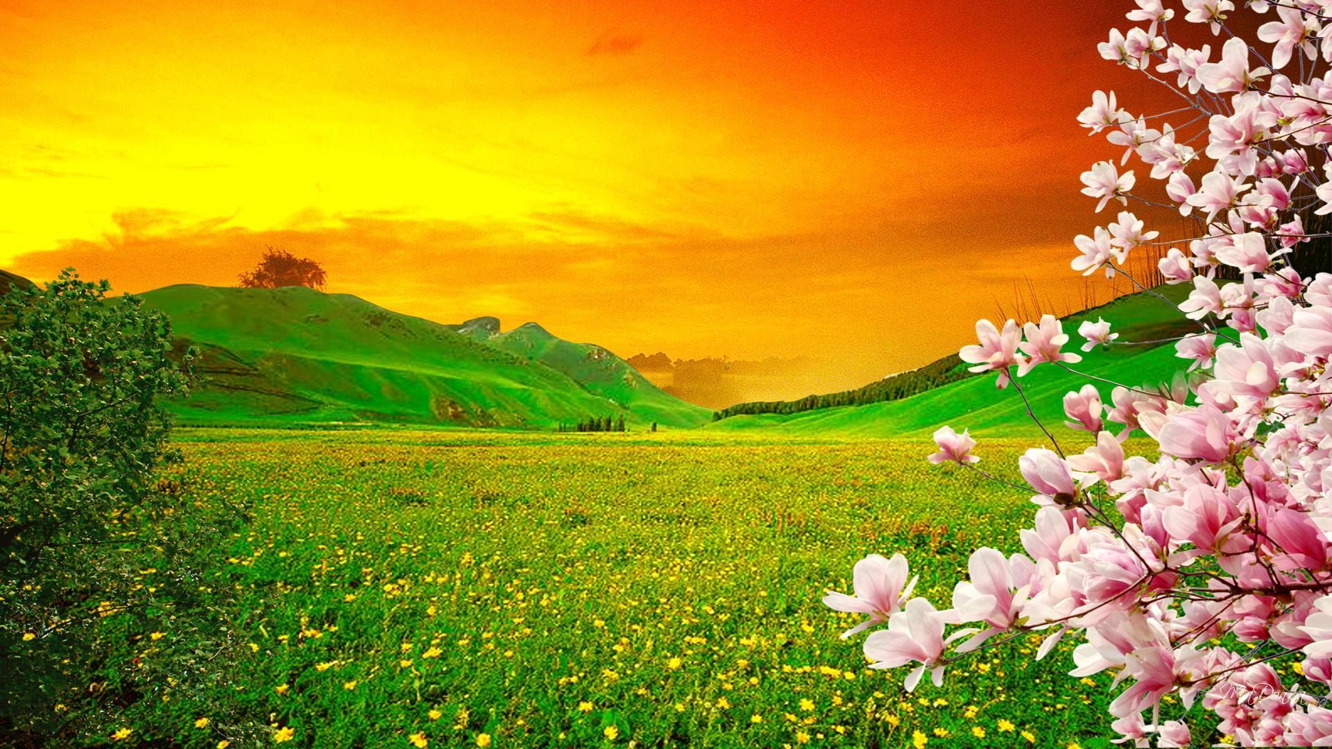 Spring Blooming Trees, Pink Sakura Flowers On Green Meadow With Yellow Flowers, Hills With Grass Green Orange Sunset Sky, Wallpaper13.com