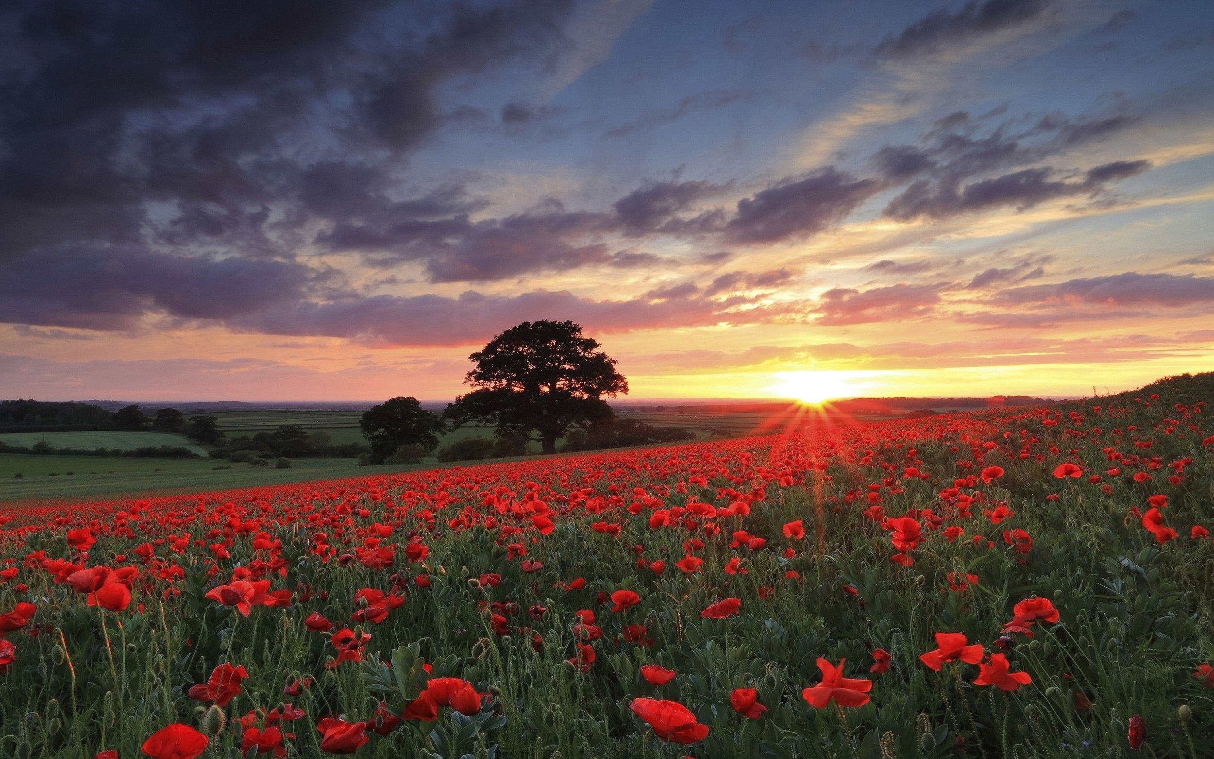 Sunset Spring Wallpapers - Wallpaper Cave