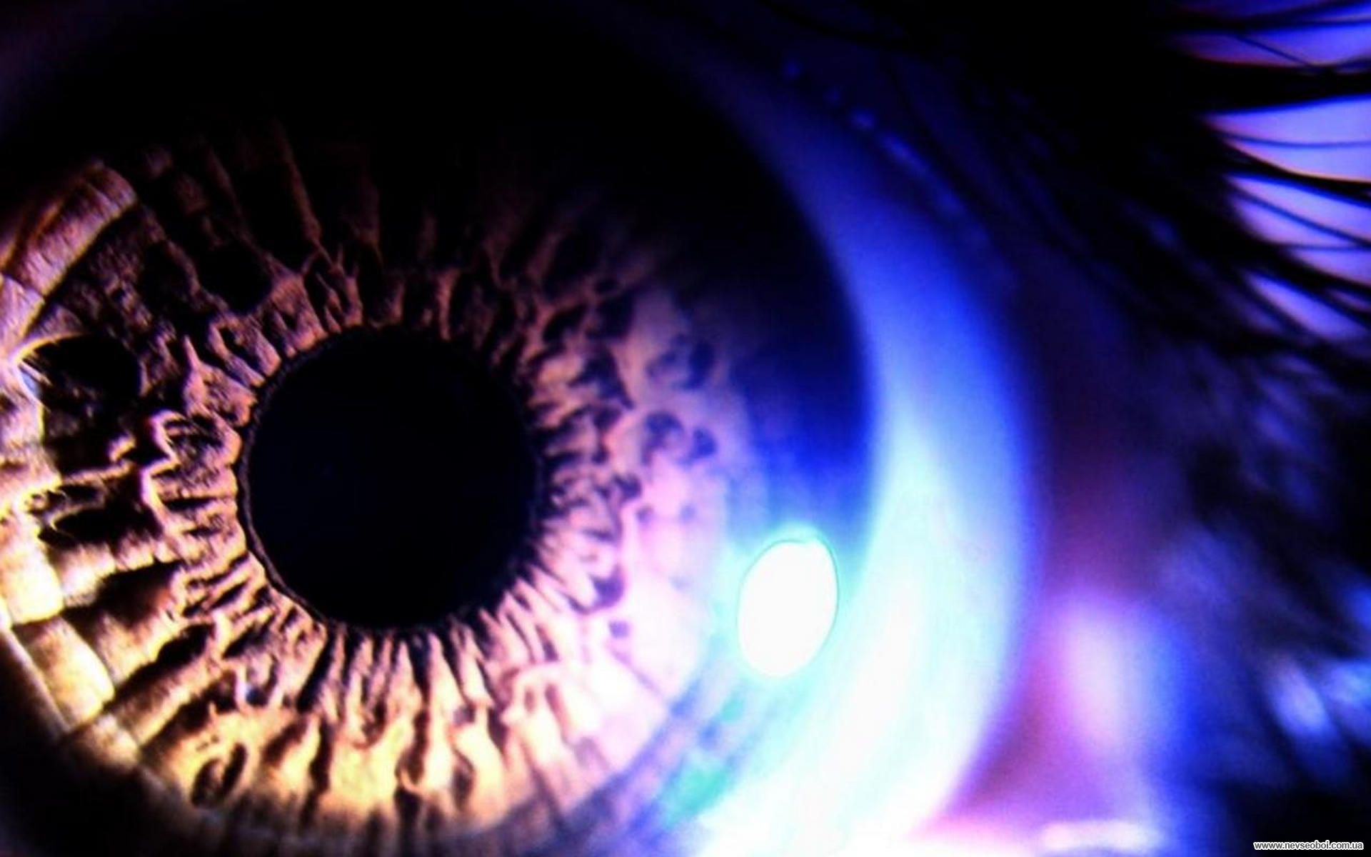 Reflection of neon in the pupil wallpaper and image, picture, photo