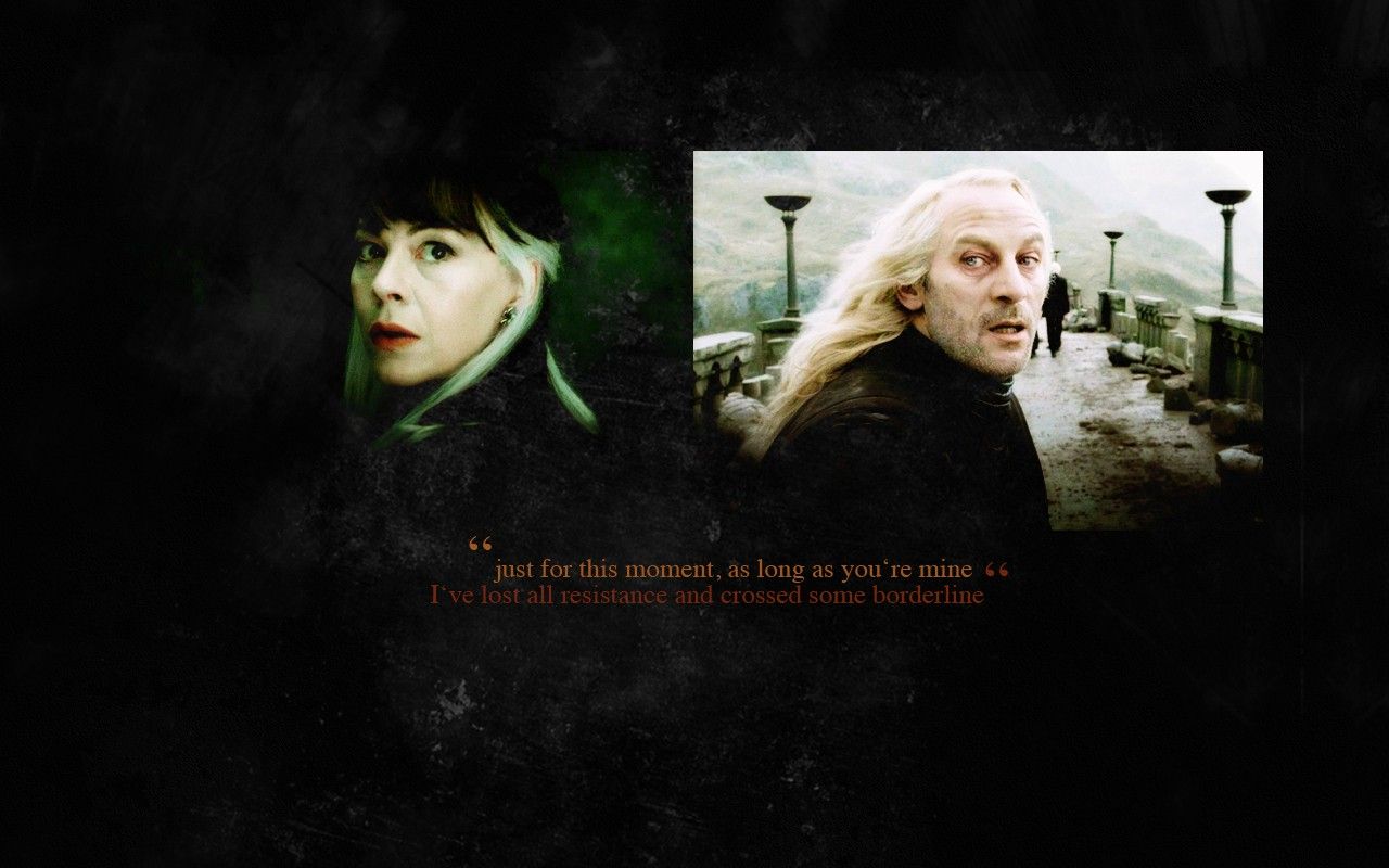003; The Black Sisters, The Black Malfoy Family