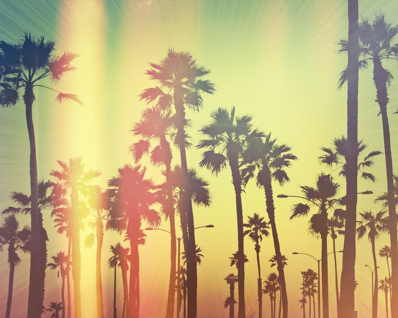 California Summer Wallpaper Free California Summer Background