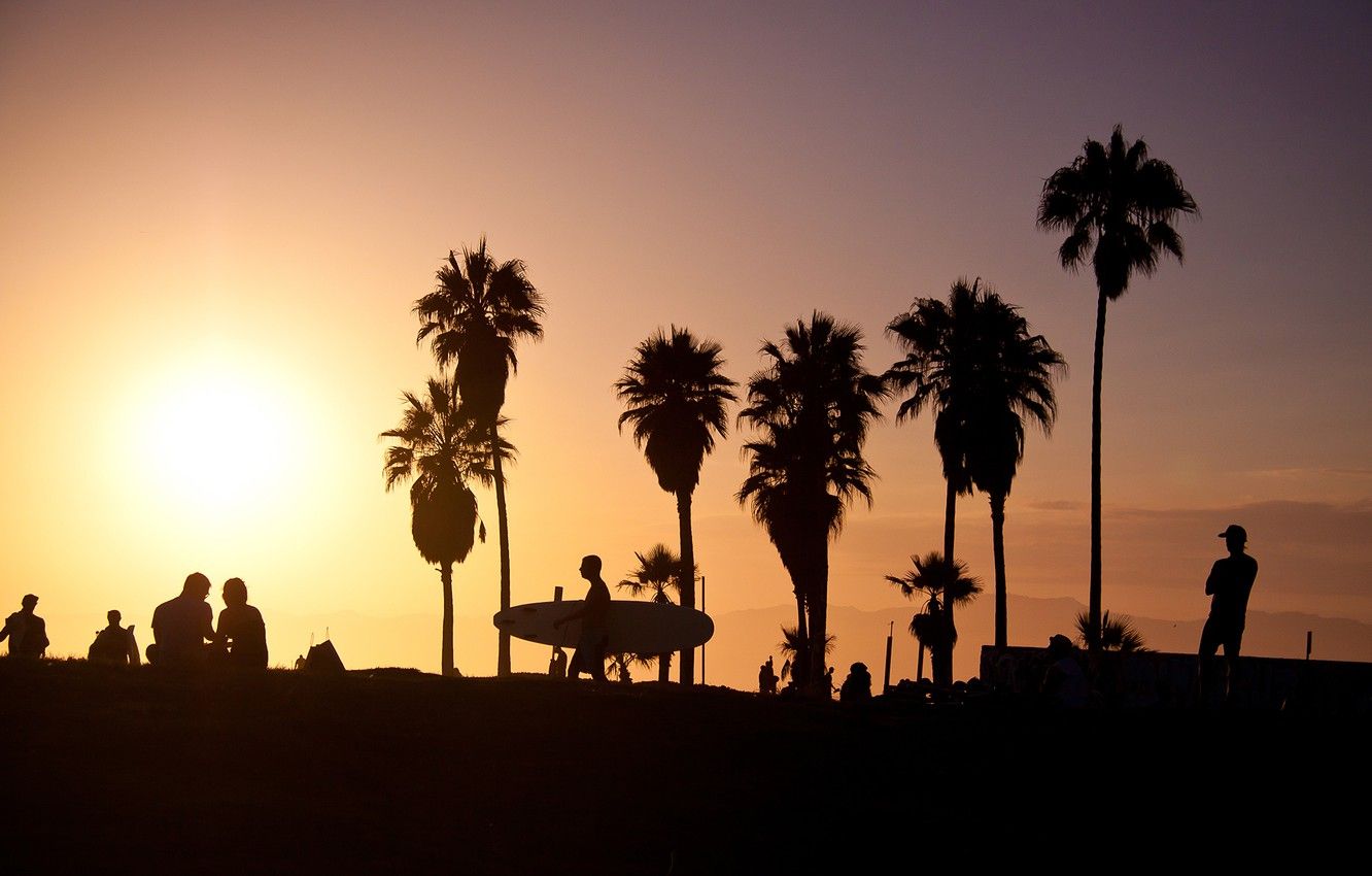 Wallpaper summer, california, sunset, usa, surf, los angeles, palm, vence beach image for desktop, section пейзажи