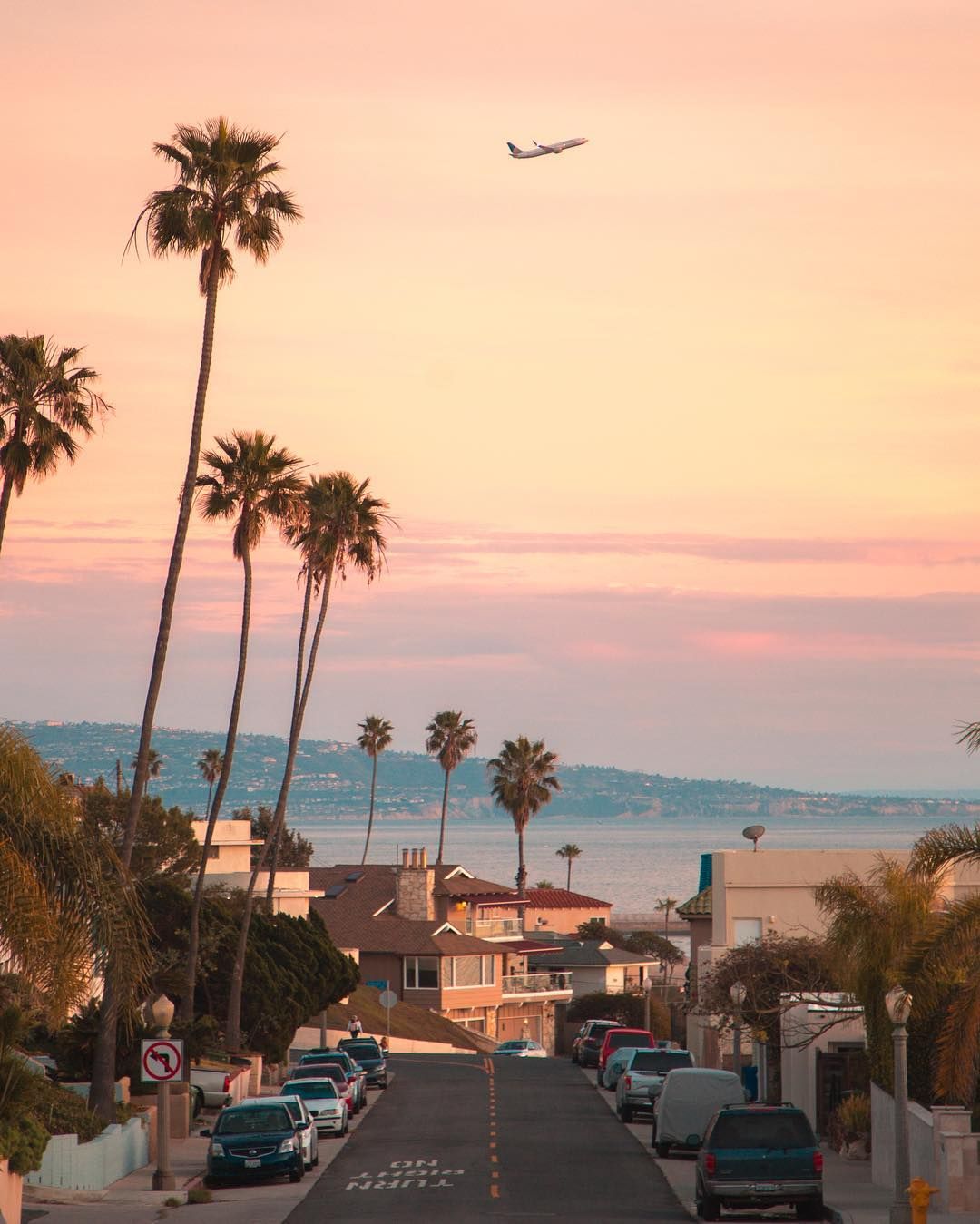 Pink sky and palm trees all over Los Angeles, California. #visitcalifornia #travel #wanderlust #cal. Summer wallpaper, Summer background, Wallpaper iphone summer