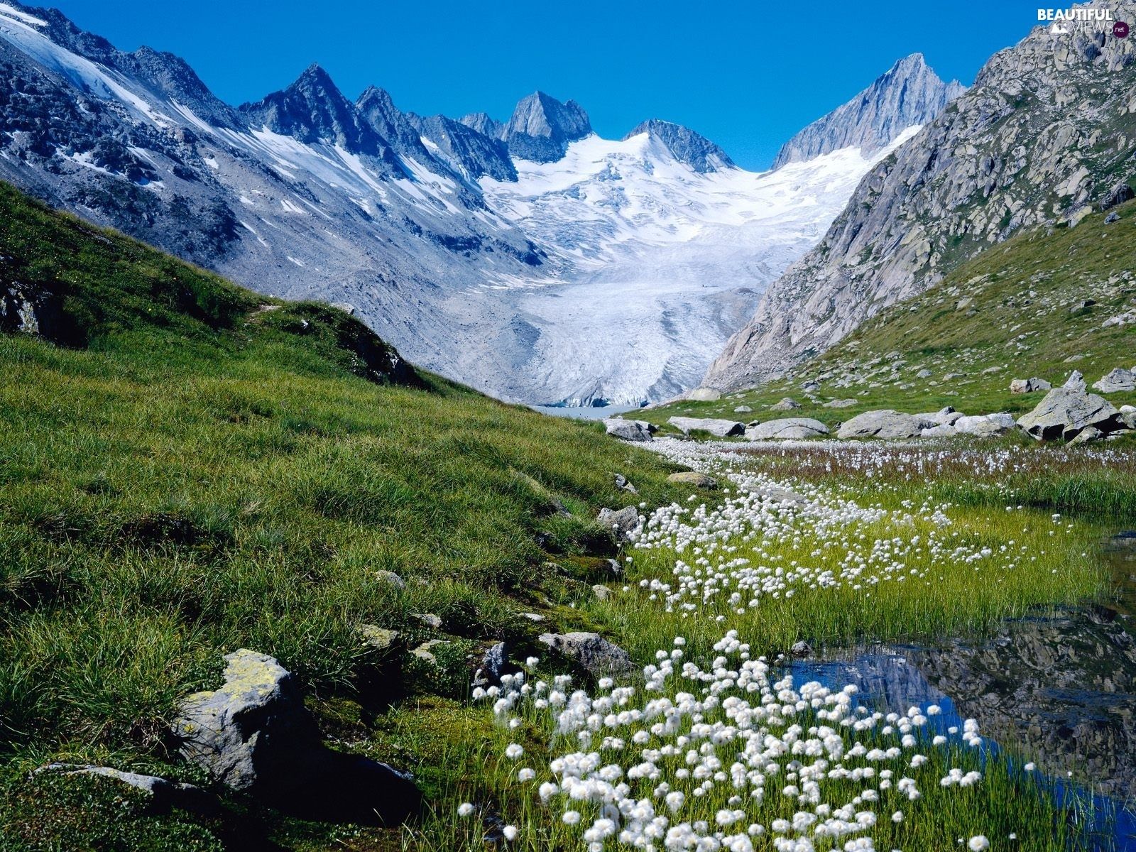Mountains, The Hills, Flowers, Spring, Swiss Alps, peaks views wallpaper: 2880x1800