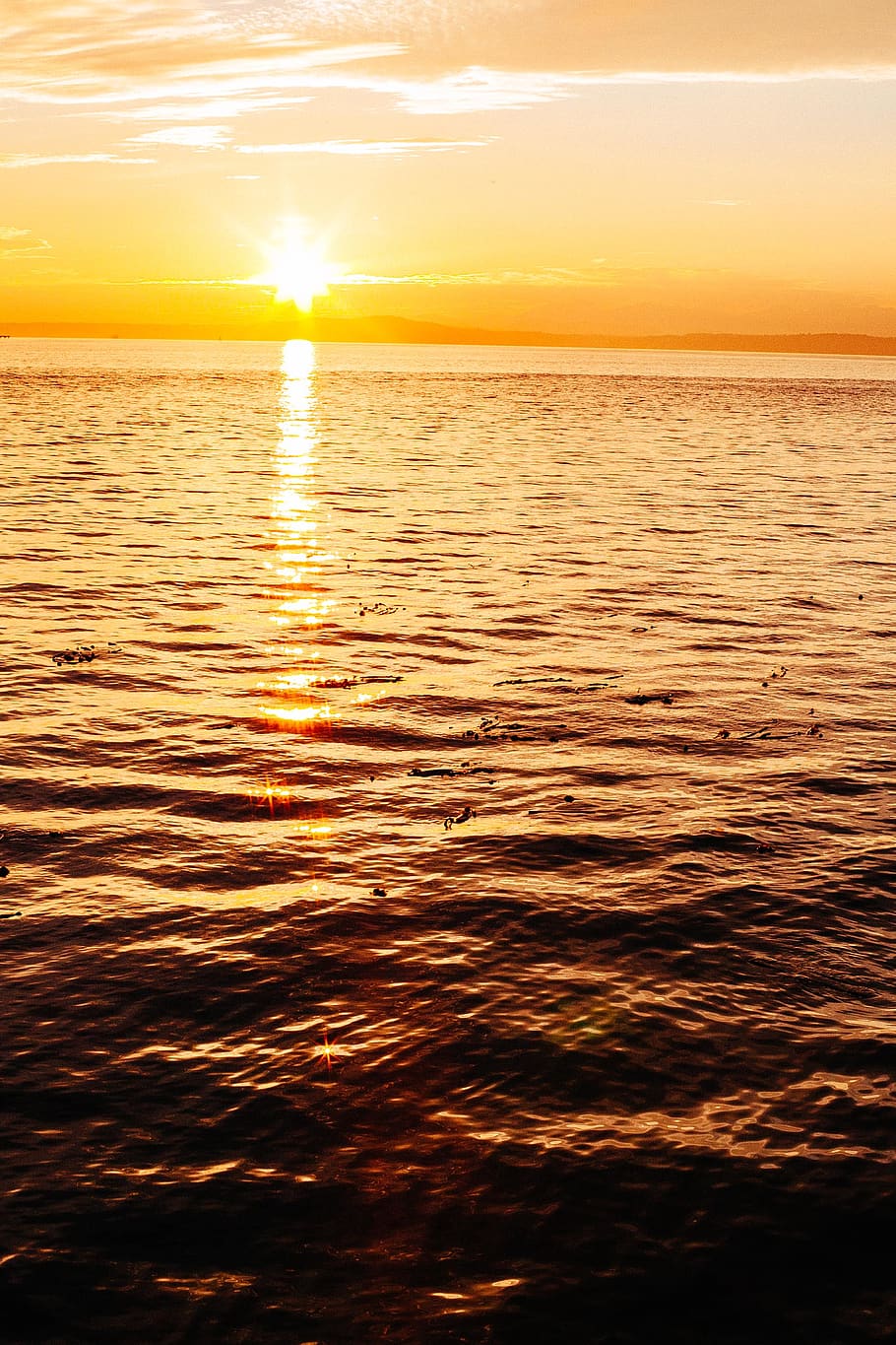 Vertical Sunset Wallpaper