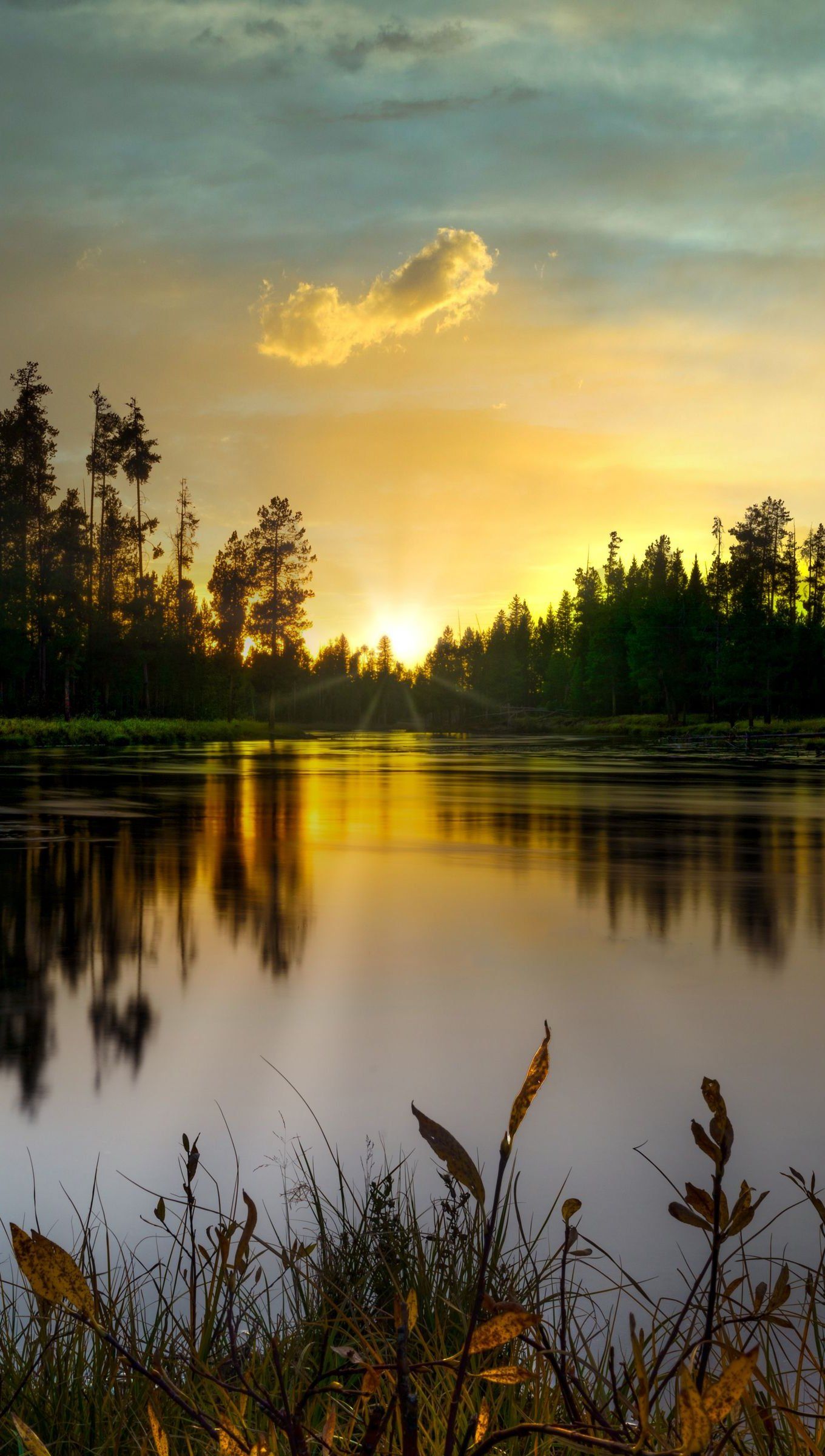 Lake in the forest at sunset Wallpaper 4k Ultra HD