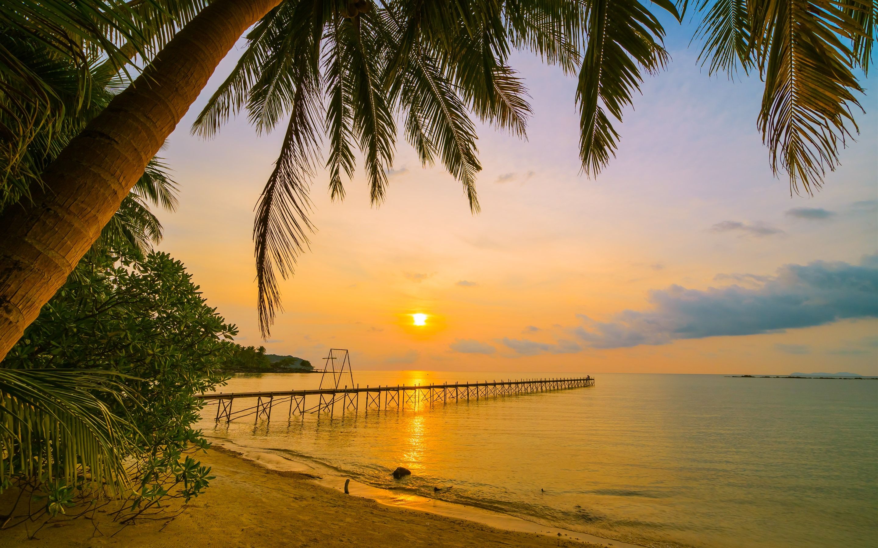 Wallpaper Tropical, summer, beach, sea, palm trees, pier, sunset 5120x2880 UHD 5K Picture, Image